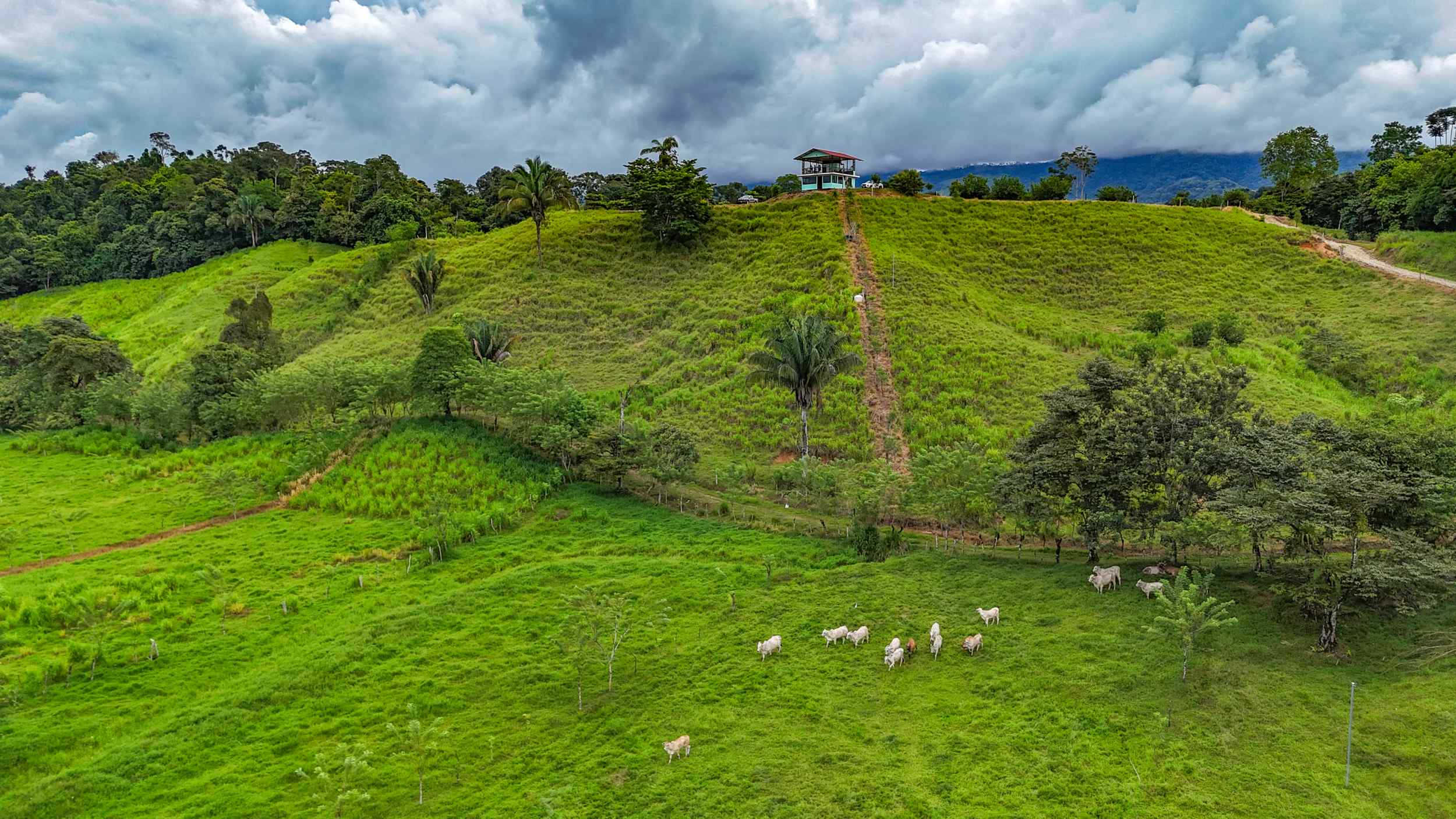 71996-43 Stunning 2-Bedroom Ranch with Panoramic Views & Legal ASADA Water in Palmar Norte Costa Rica