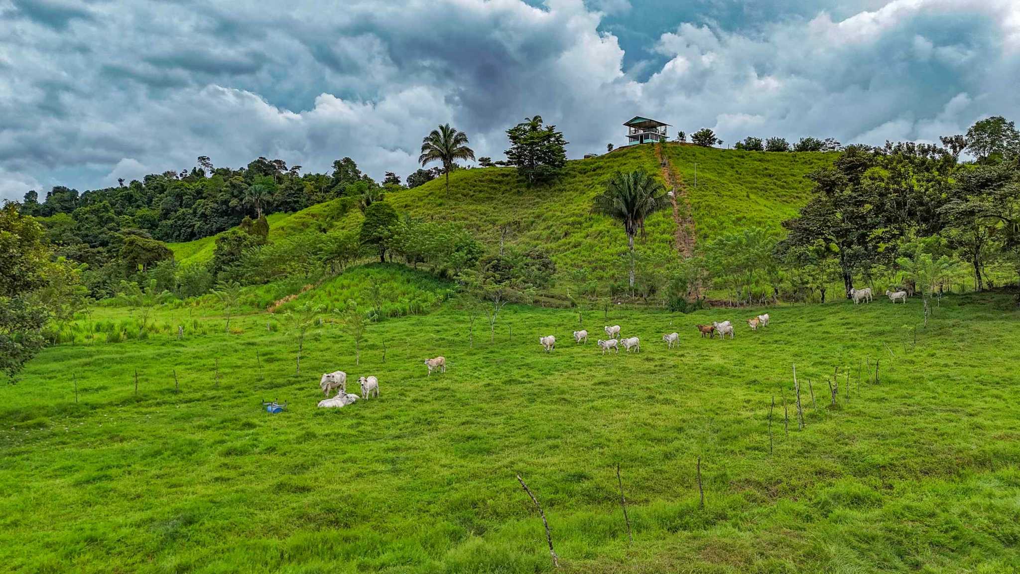 Stunning 2-Bedroom Ranch with Panoramic Views & Legal ASADA Water in Palmar Norte Costa Rica