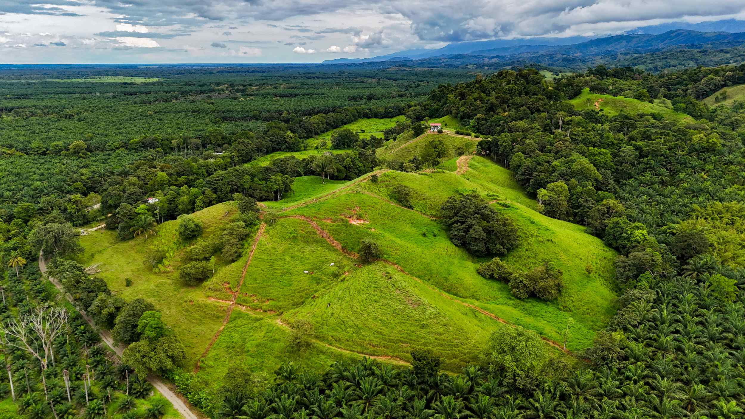 71996-47 Stunning 2-Bedroom Ranch with Panoramic Views & Legal ASADA Water in Palmar Norte Costa Rica