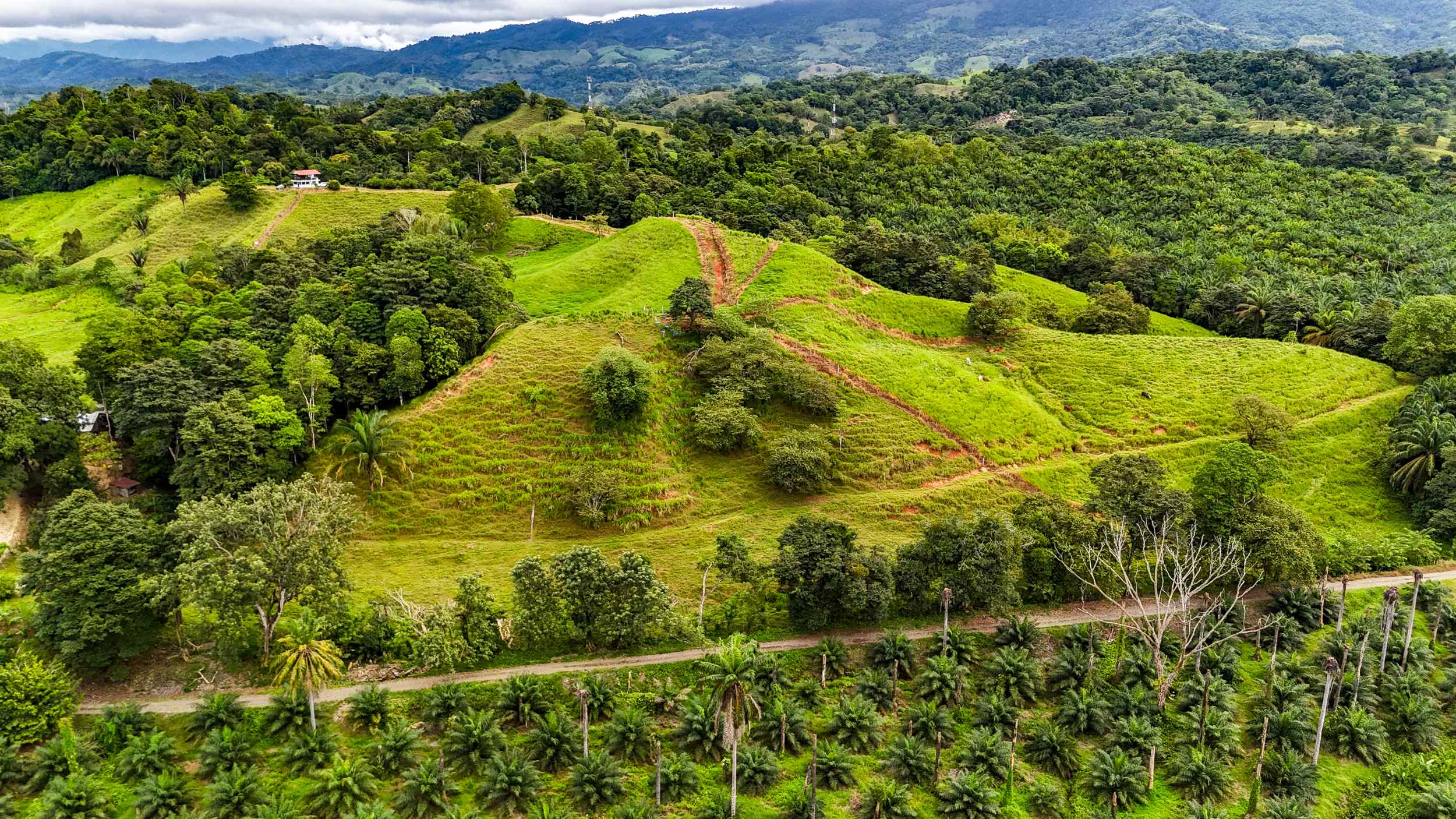 71996-48 Stunning 2-Bedroom Ranch with Panoramic Views & Legal ASADA Water in Palmar Norte Costa Rica
