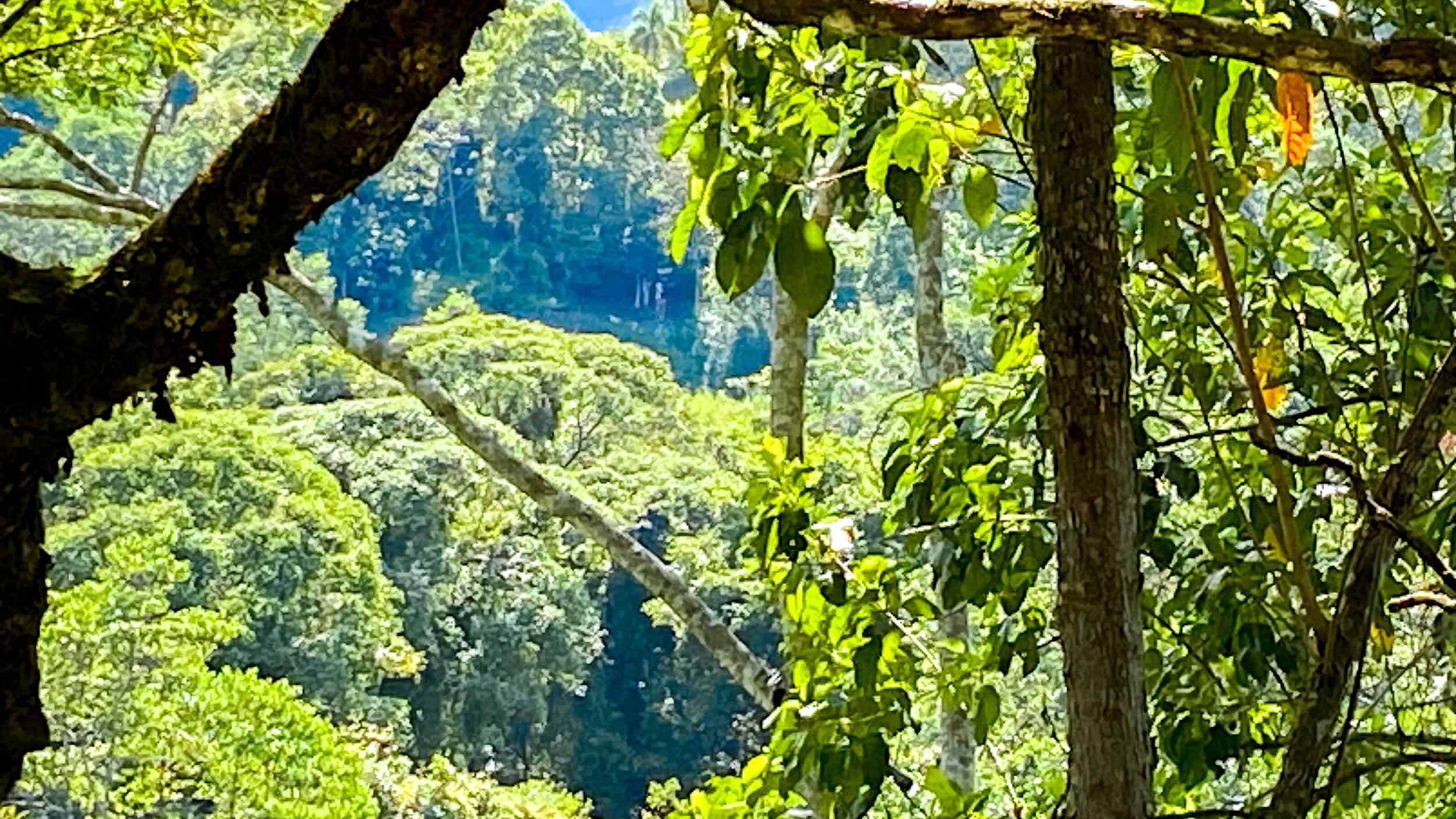 Serene Jungle & Mountain View 4-Acre Building Lot in Tres Rios Costa Rica