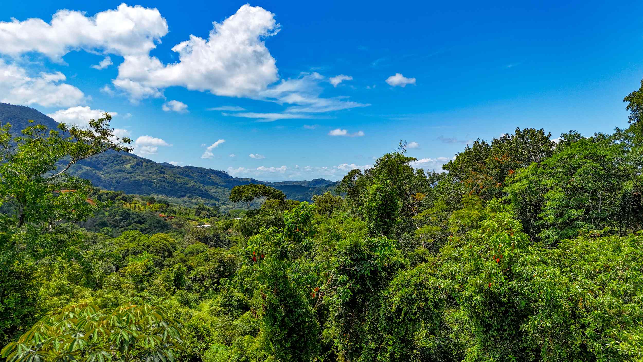 Serene Jungle & Mountain View 4-Acre Building Lot in Tres Rios Costa Rica