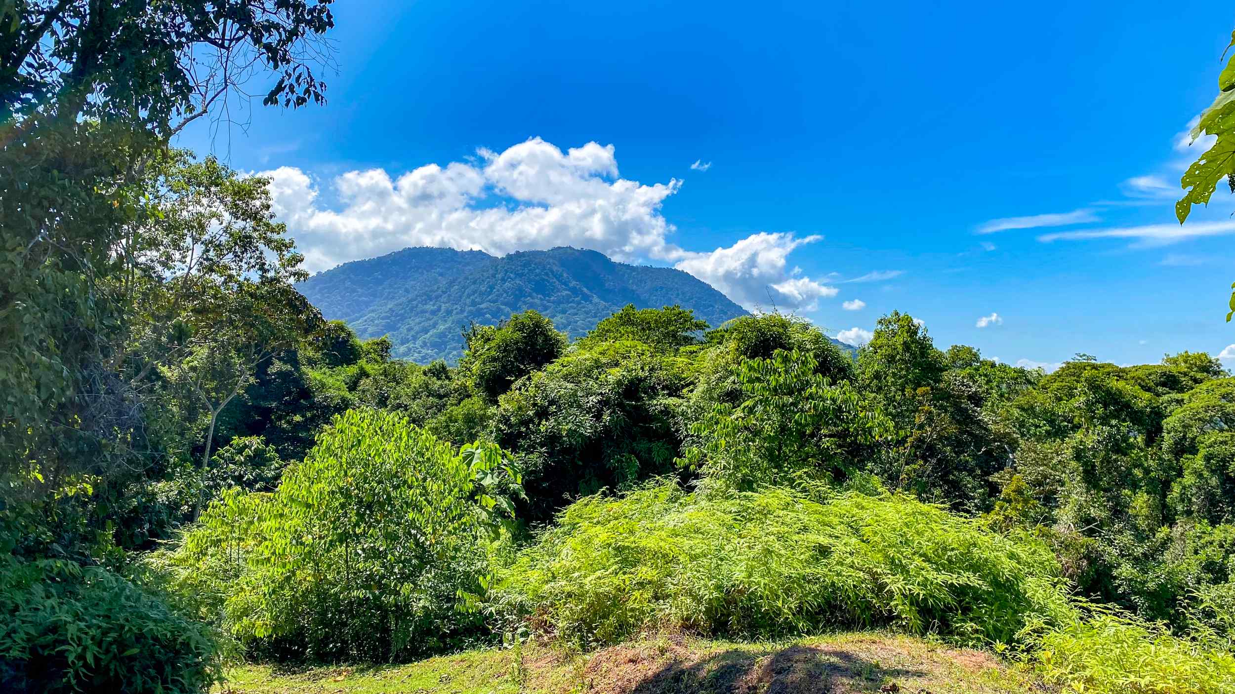 Serene Jungle & Mountain View 4-Acre Building Lot in Tres Rios Costa Rica