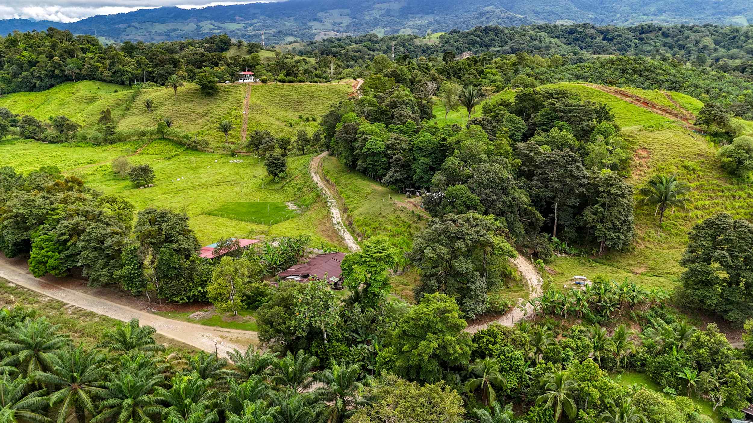 71996-49 Stunning 2-Bedroom Ranch with Panoramic Views & Legal ASADA Water in Palmar Norte Costa Rica