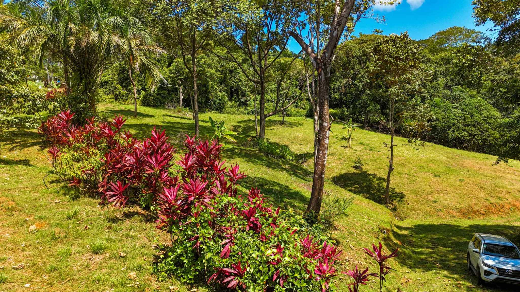 Serene Jungle & Mountain View 4-Acre Building Lot in Tres Rios Costa Rica