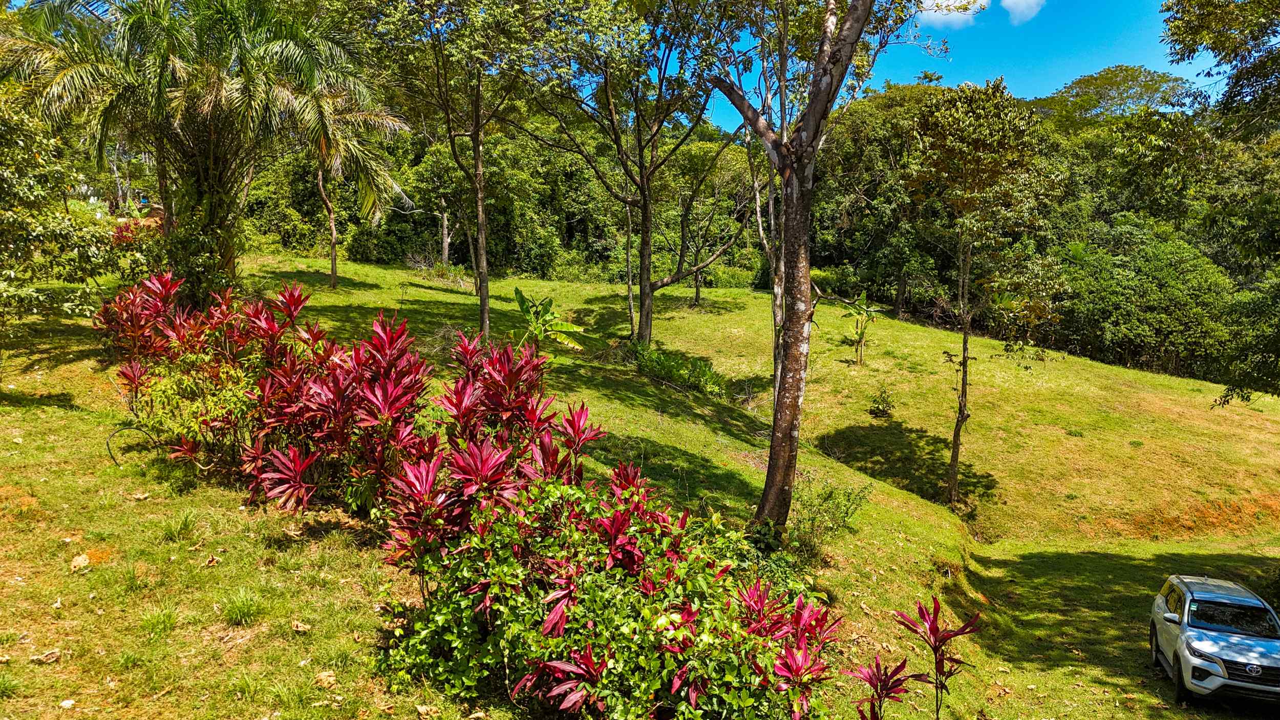Serene Jungle & Mountain View 4-Acre Building Lot in Tres Rios Costa Rica