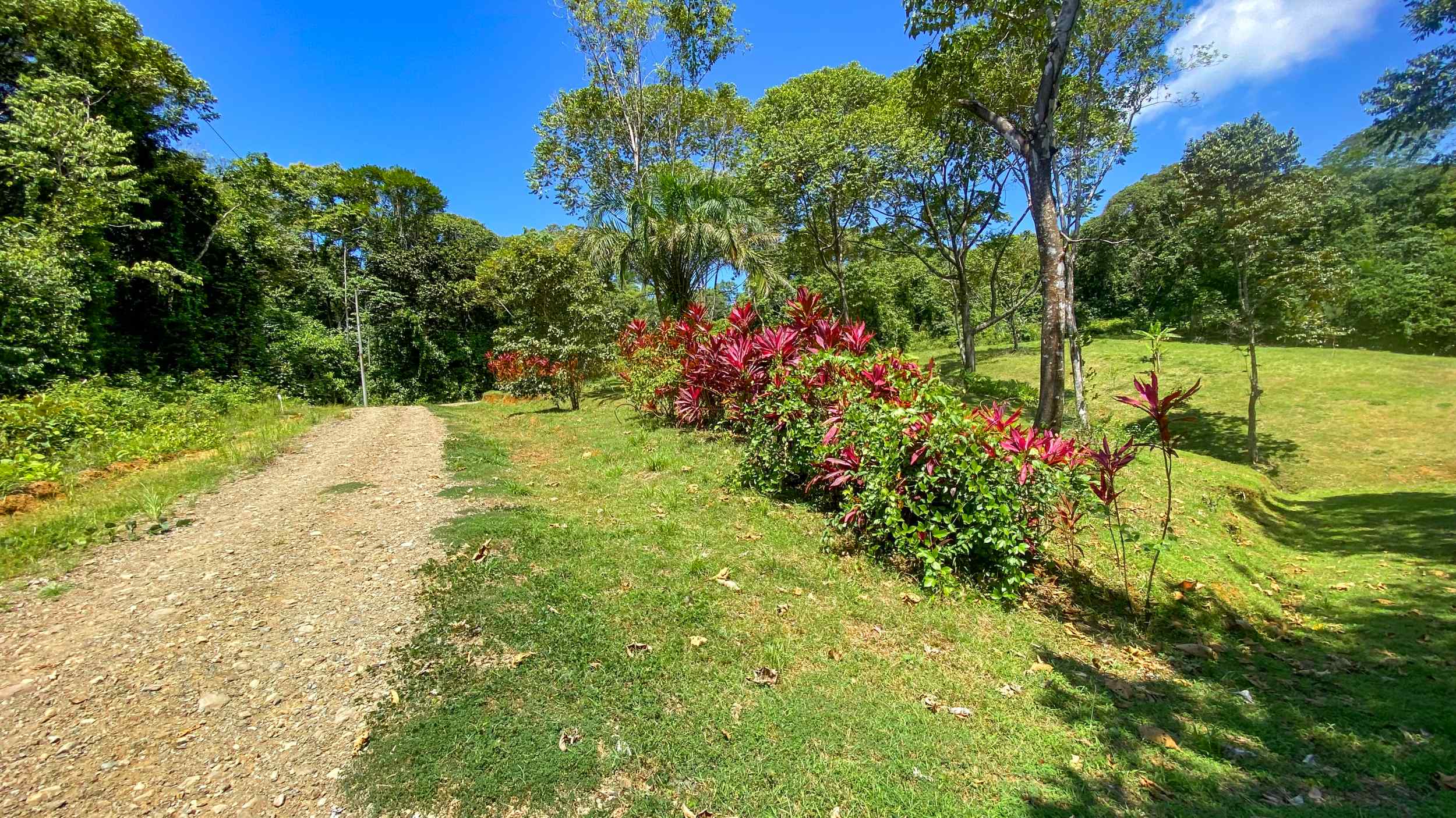 Serene Jungle & Mountain View 4-Acre Building Lot in Tres Rios Costa Rica