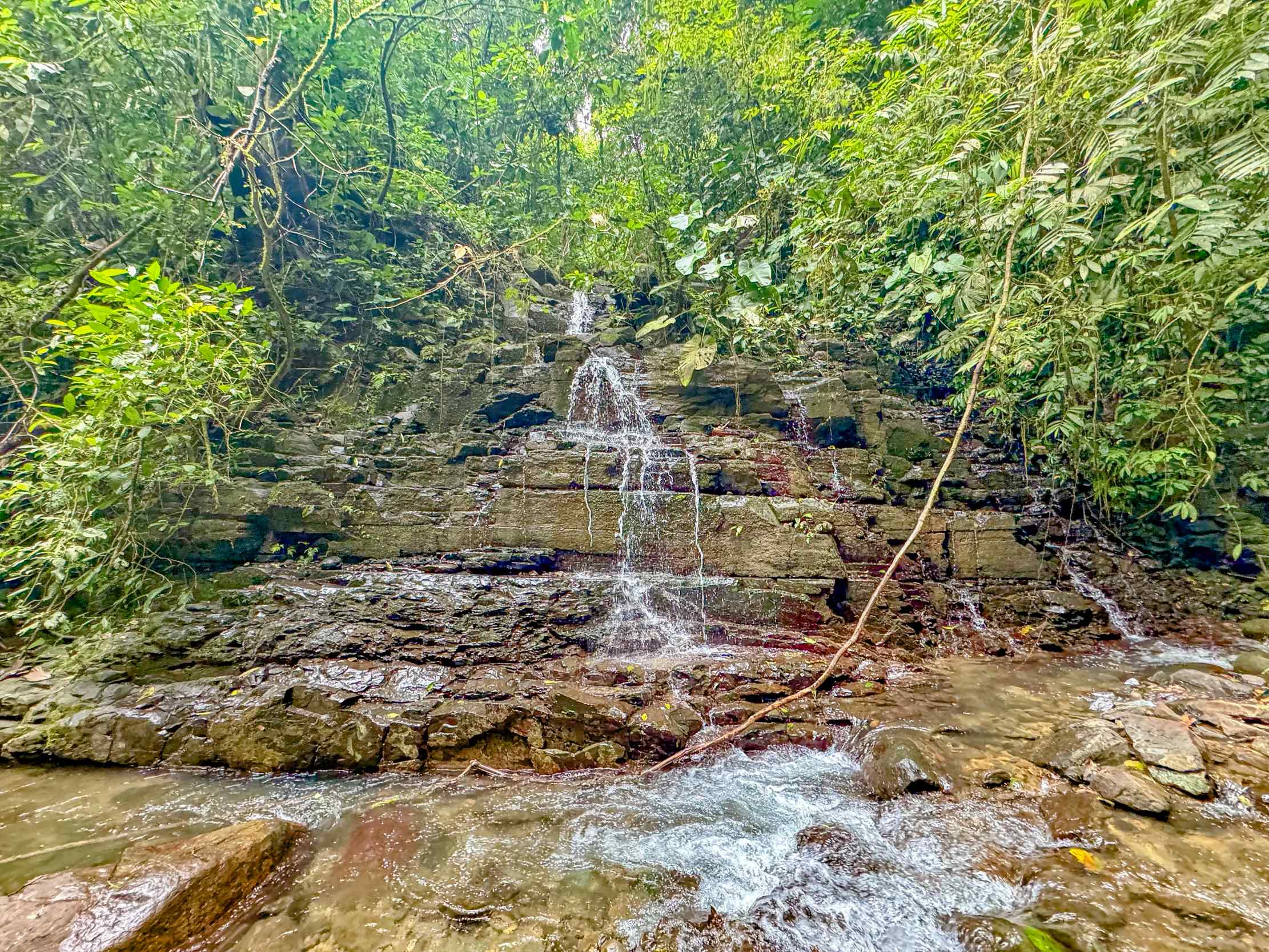 Serene Jungle & Mountain View 4-Acre Building Lot in Tres Rios Costa Rica