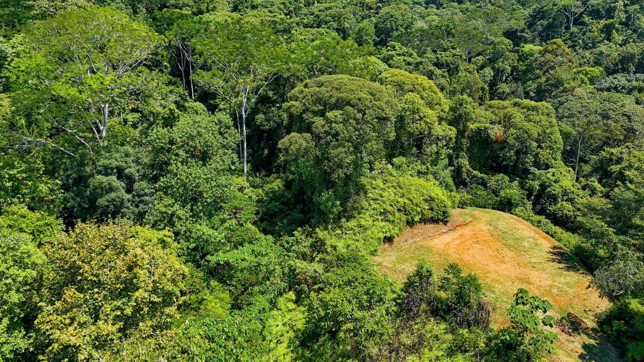 Serene Jungle & Mountain View 4-Acre Building Lot in Tres Rios Costa Rica