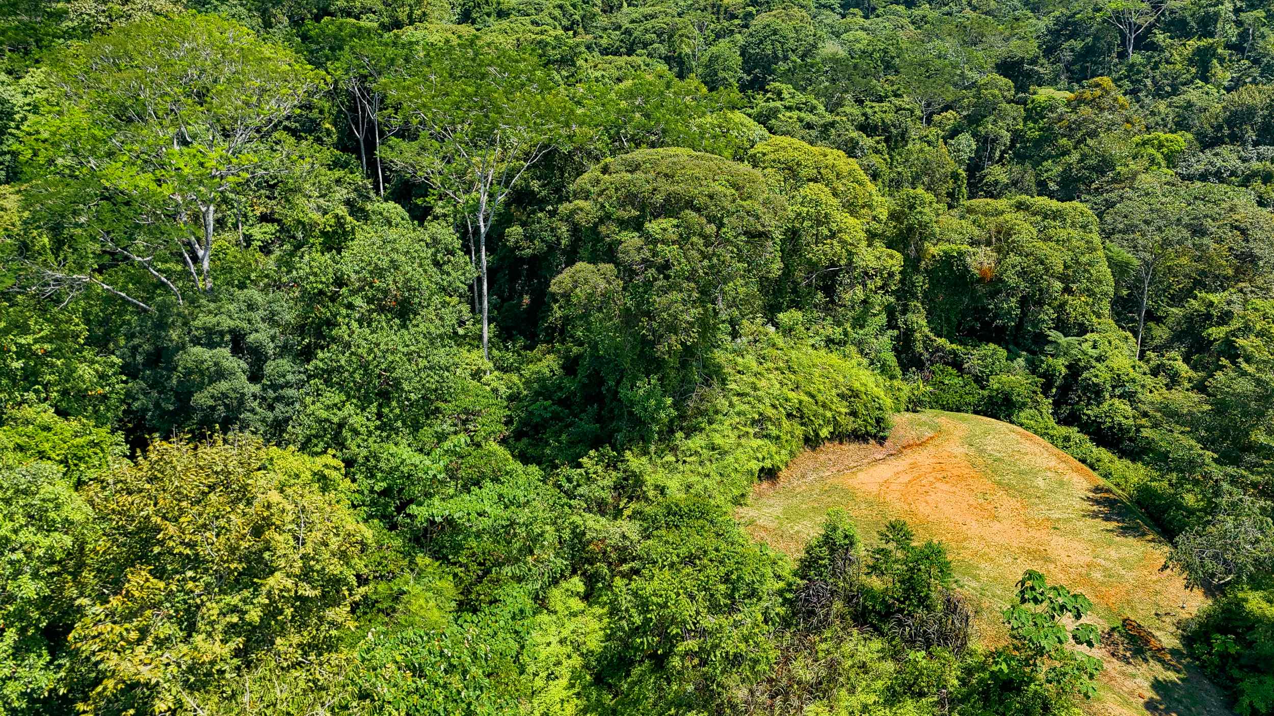 Serene Jungle & Mountain View 4-Acre Building Lot in Tres Rios Costa Rica