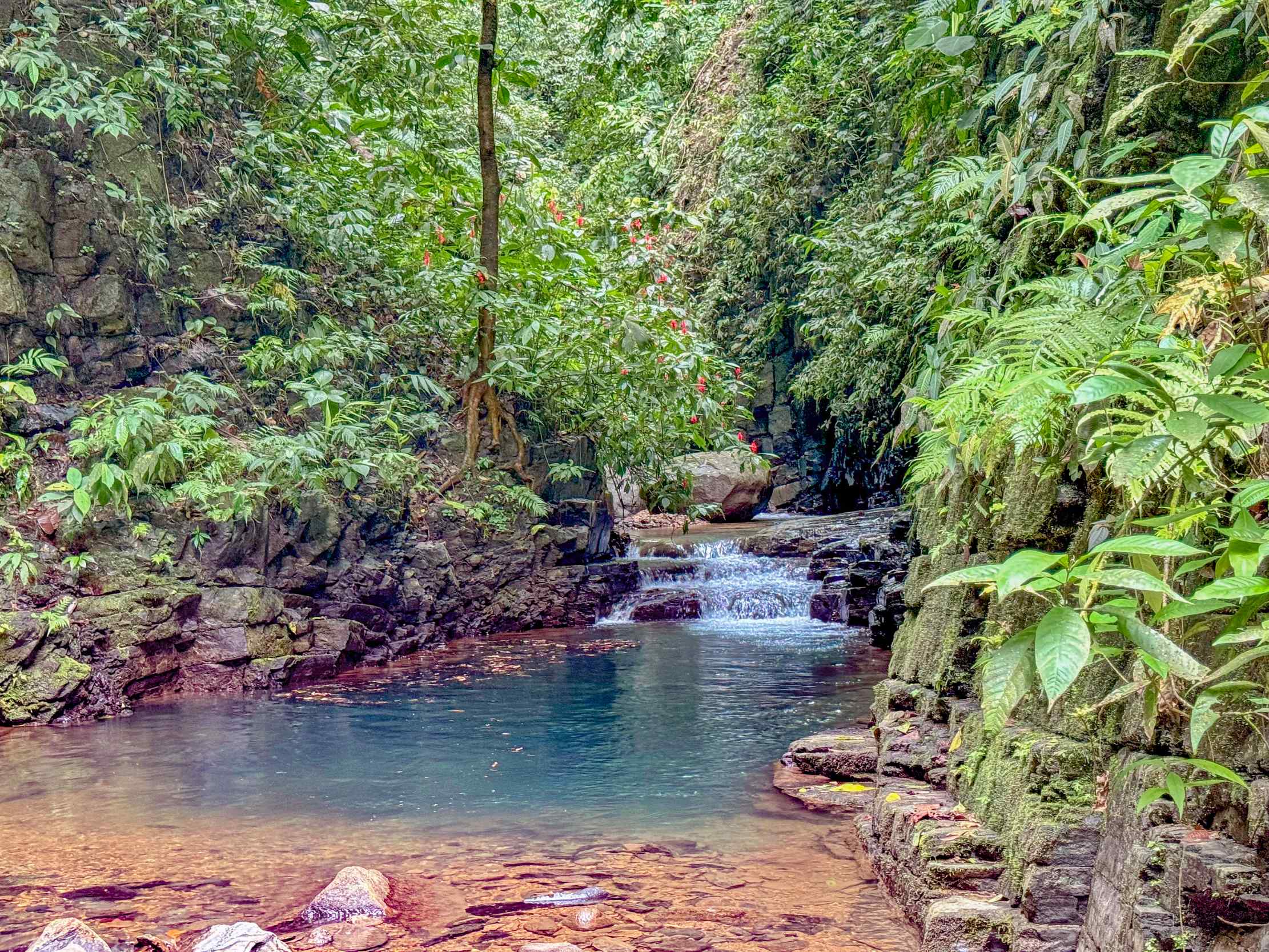 Serene Jungle & Mountain View 4-Acre Building Lot in Tres Rios Costa Rica
