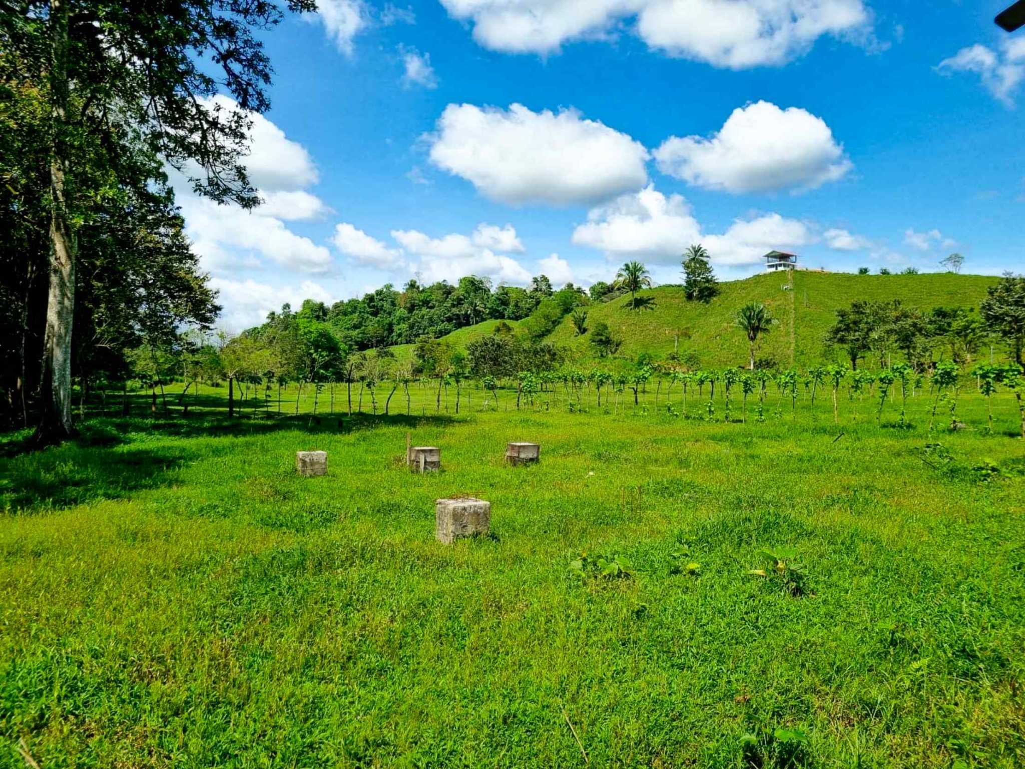 Stunning 2-Bedroom Ranch with Panoramic Views & Legal ASADA Water in Palmar Norte Costa Rica