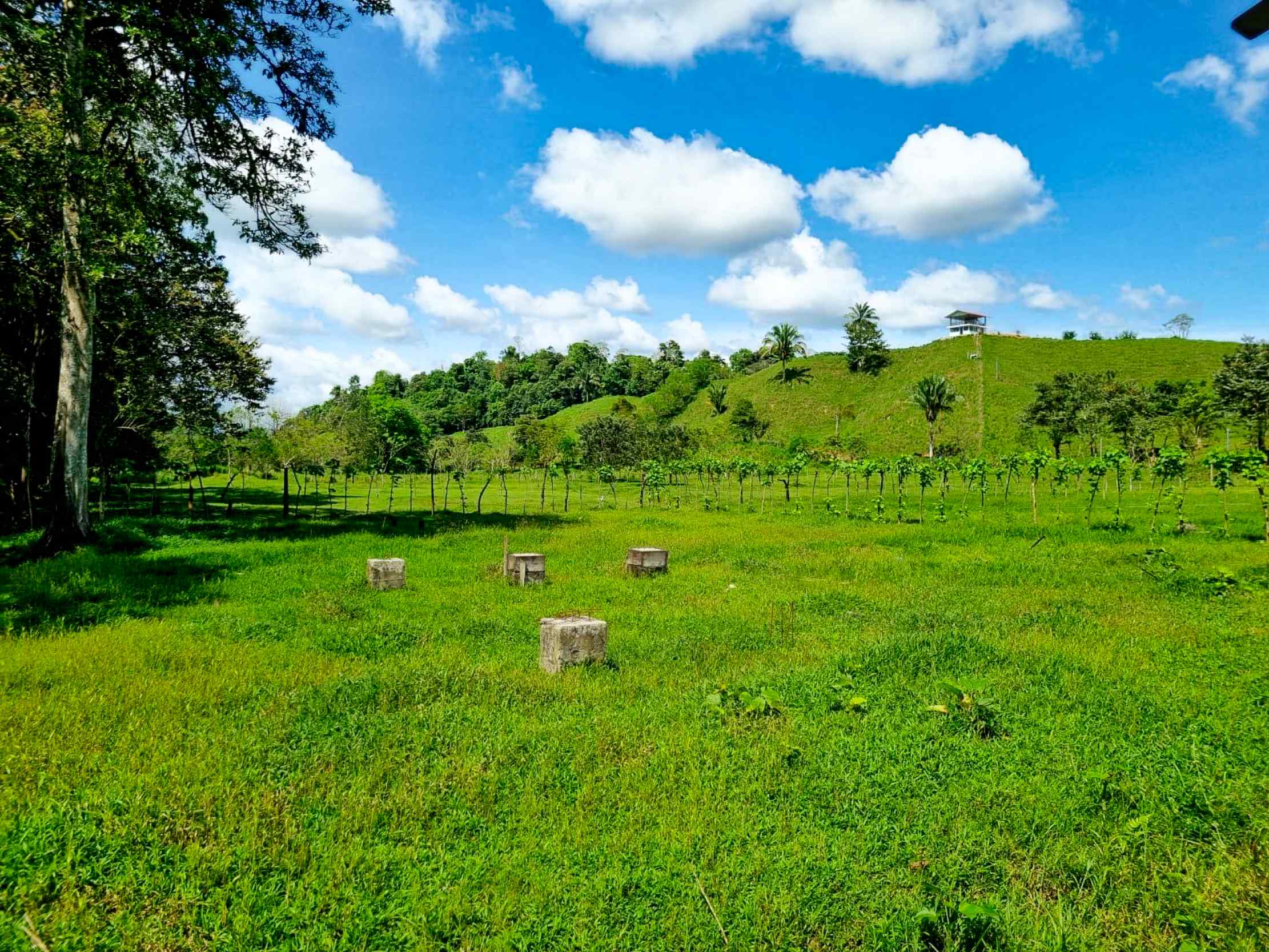 71996-54 Stunning 2-Bedroom Ranch with Panoramic Views & Legal ASADA Water in Palmar Norte Costa Rica