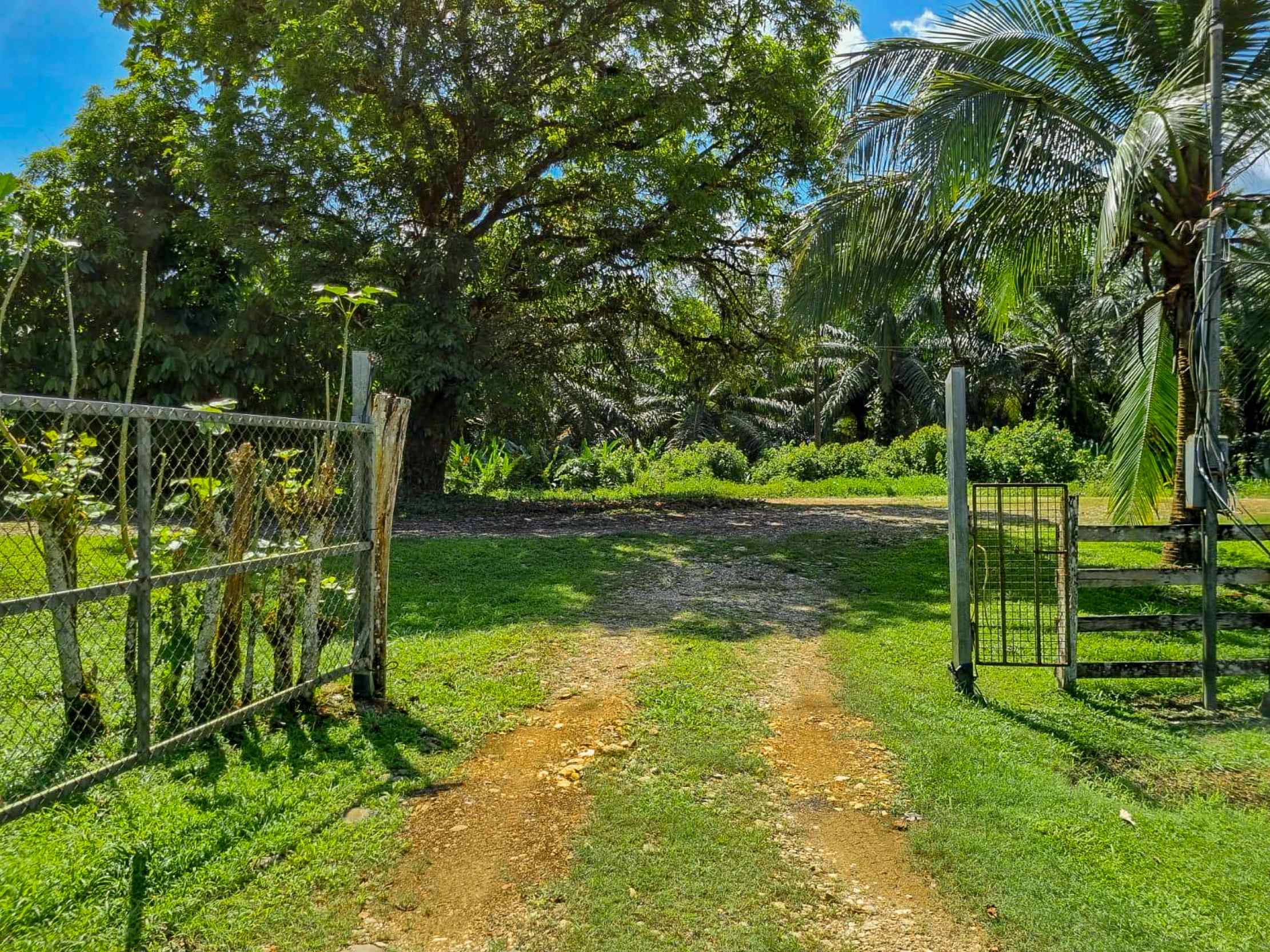 71996-56 Stunning 2-Bedroom Ranch with Panoramic Views & Legal ASADA Water in Palmar Norte Costa Rica