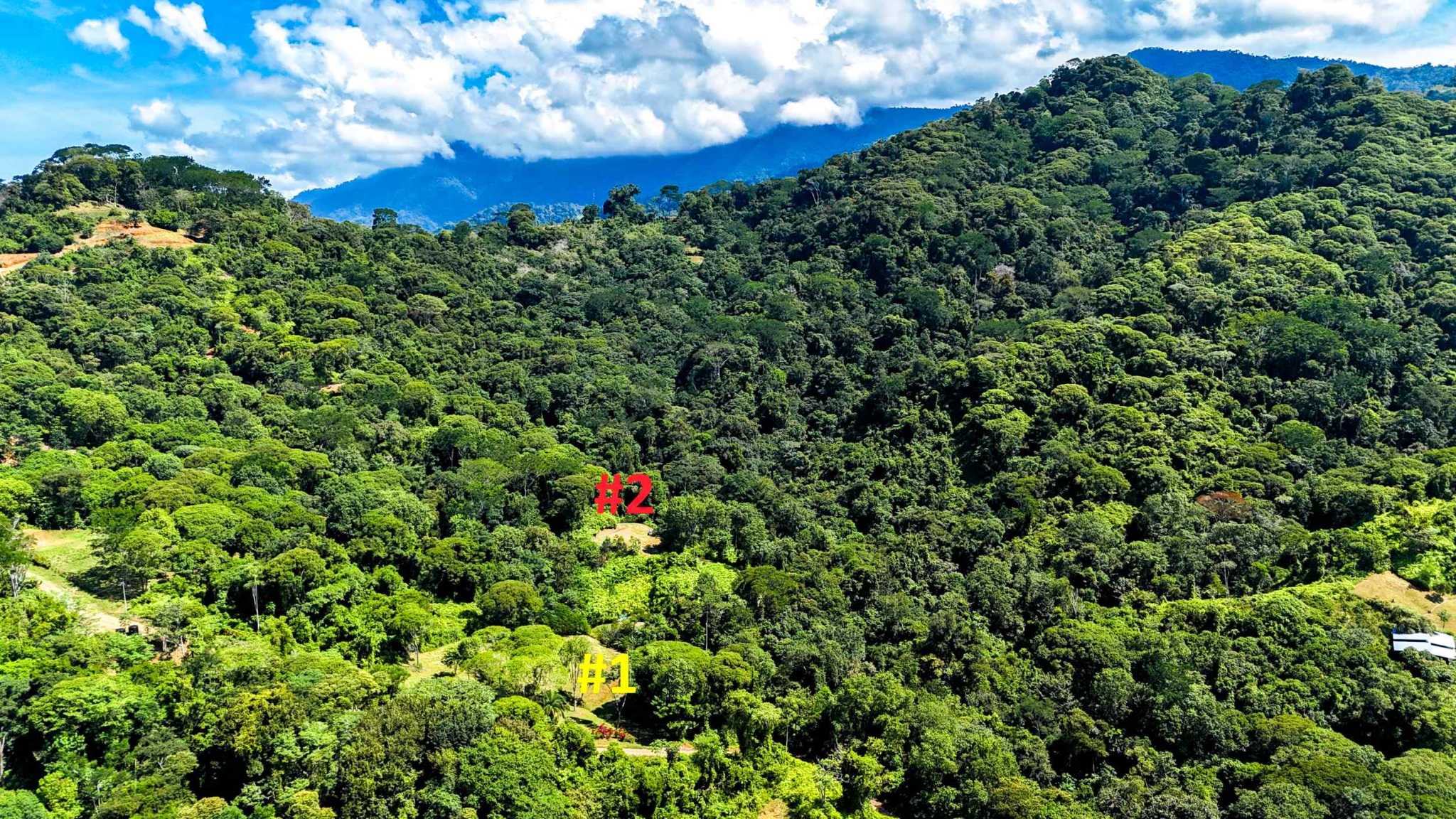 Serene Jungle & Mountain View 4-Acre Building Lot in Tres Rios Costa Rica