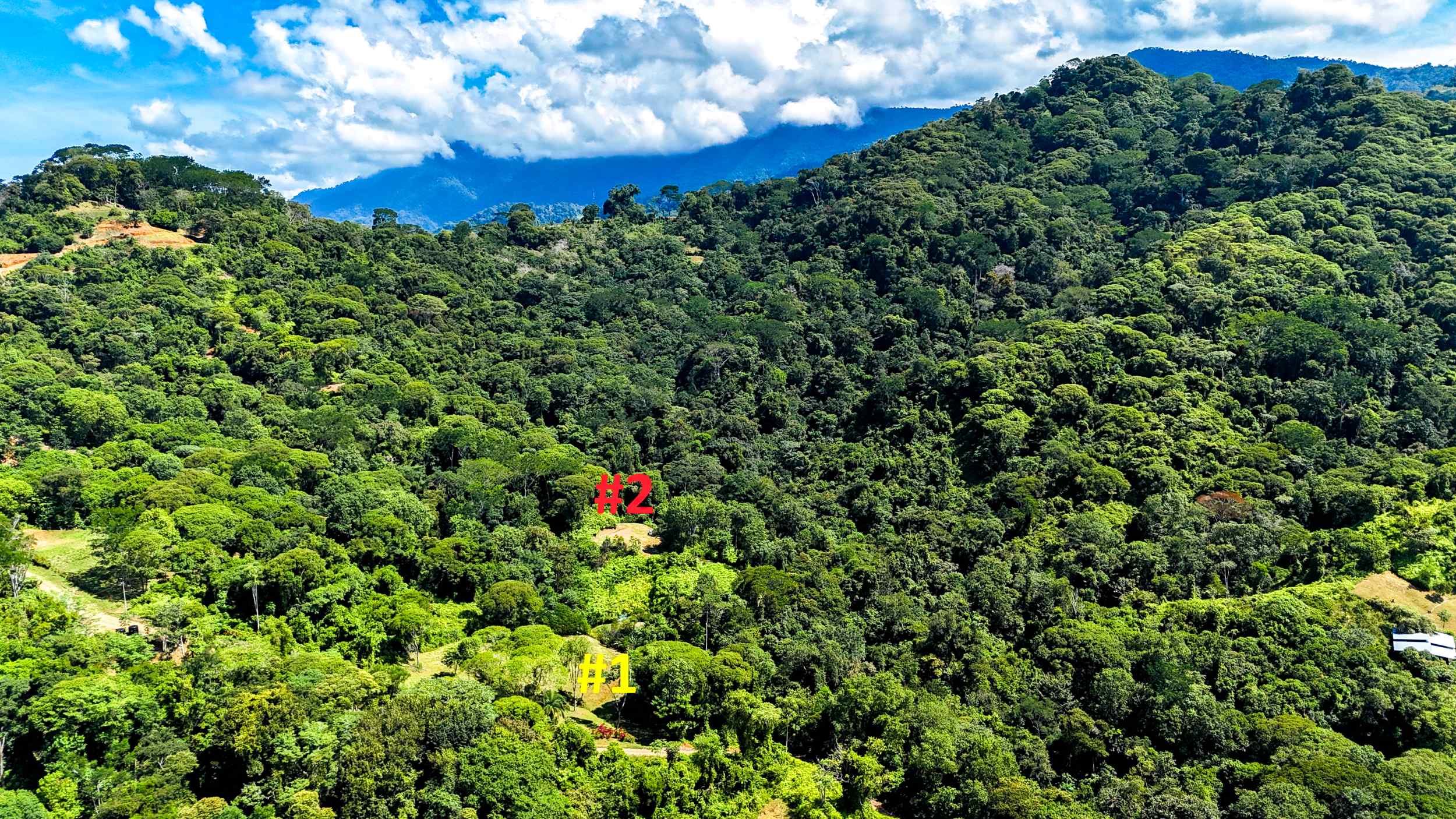 Serene Jungle & Mountain View 4-Acre Building Lot in Tres Rios Costa Rica
