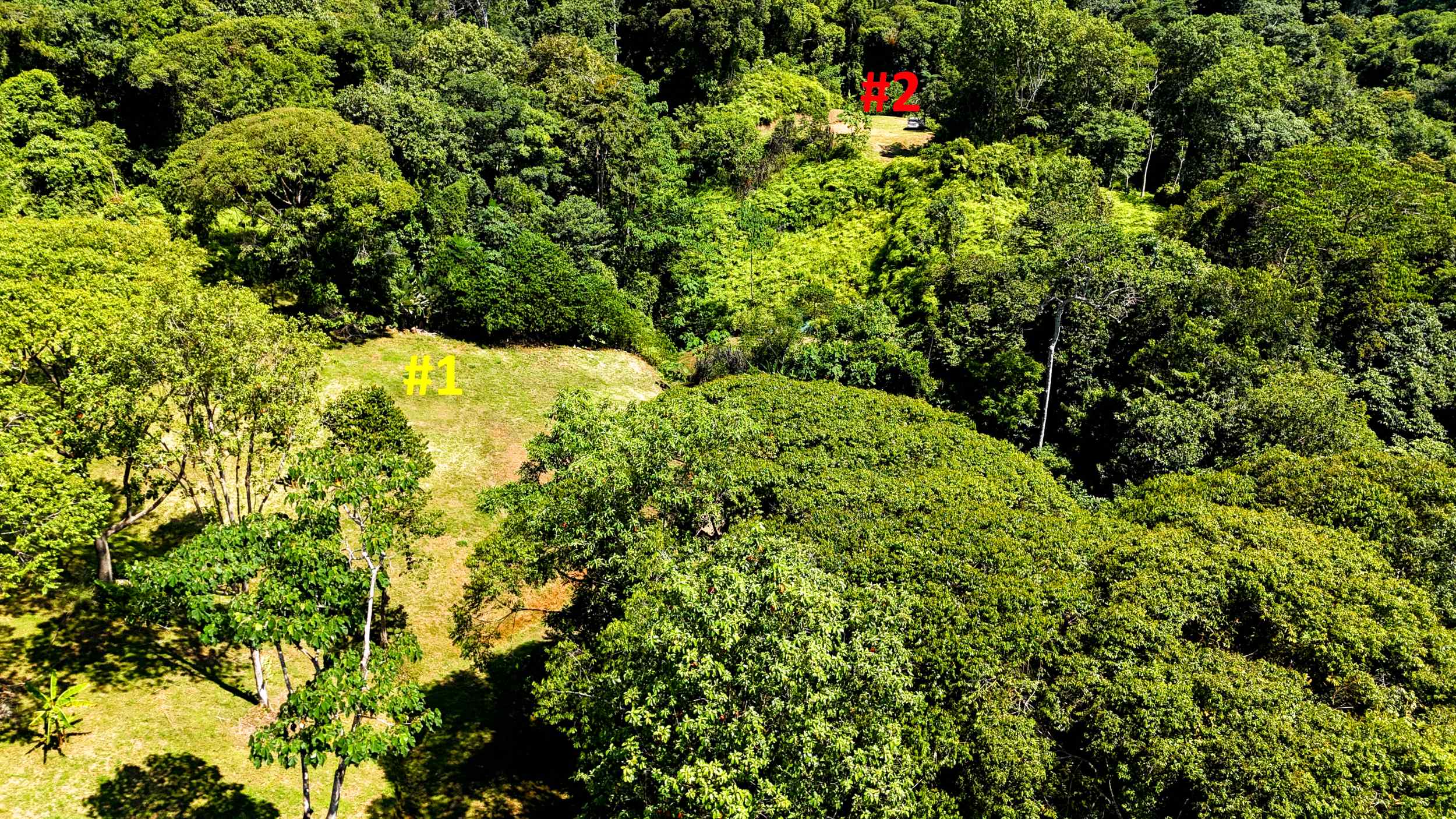 Serene Jungle & Mountain View 4-Acre Building Lot in Tres Rios Costa Rica