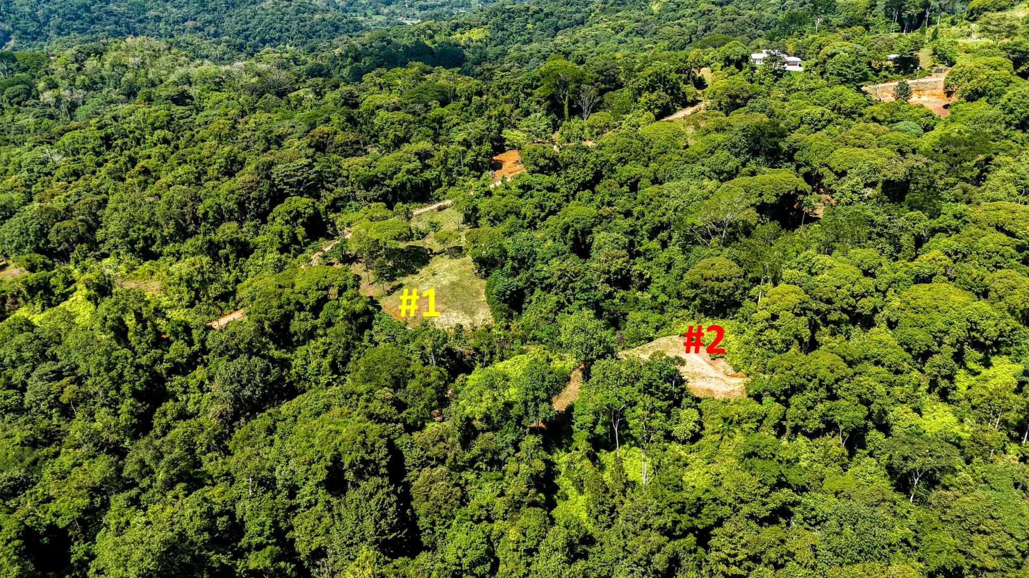 Serene Jungle & Mountain View 4-Acre Building Lot in Tres Rios Costa Rica