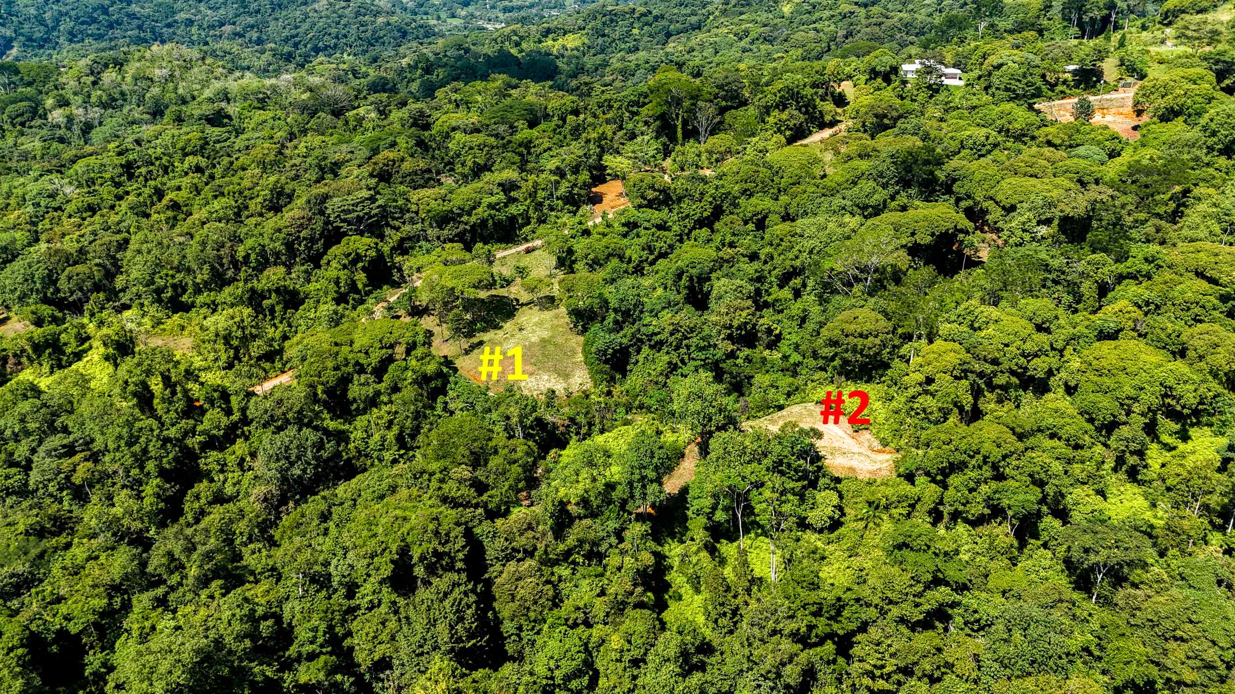 Serene Jungle & Mountain View 4-Acre Building Lot in Tres Rios Costa Rica