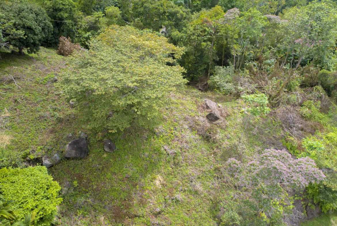 Spectacular Ocean View Over-an-Acre Building Lot in Dominical Costa Rica
