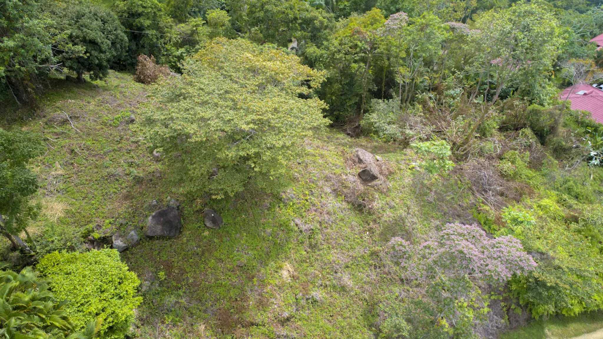 72210-1 Spectacular Ocean View Over-an-Acre Building Lot in Dominical Costa Rica