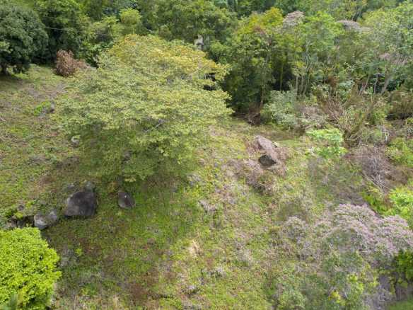 Spectacular Ocean View Over-an-Acre Building Lot in Dominical Costa Rica