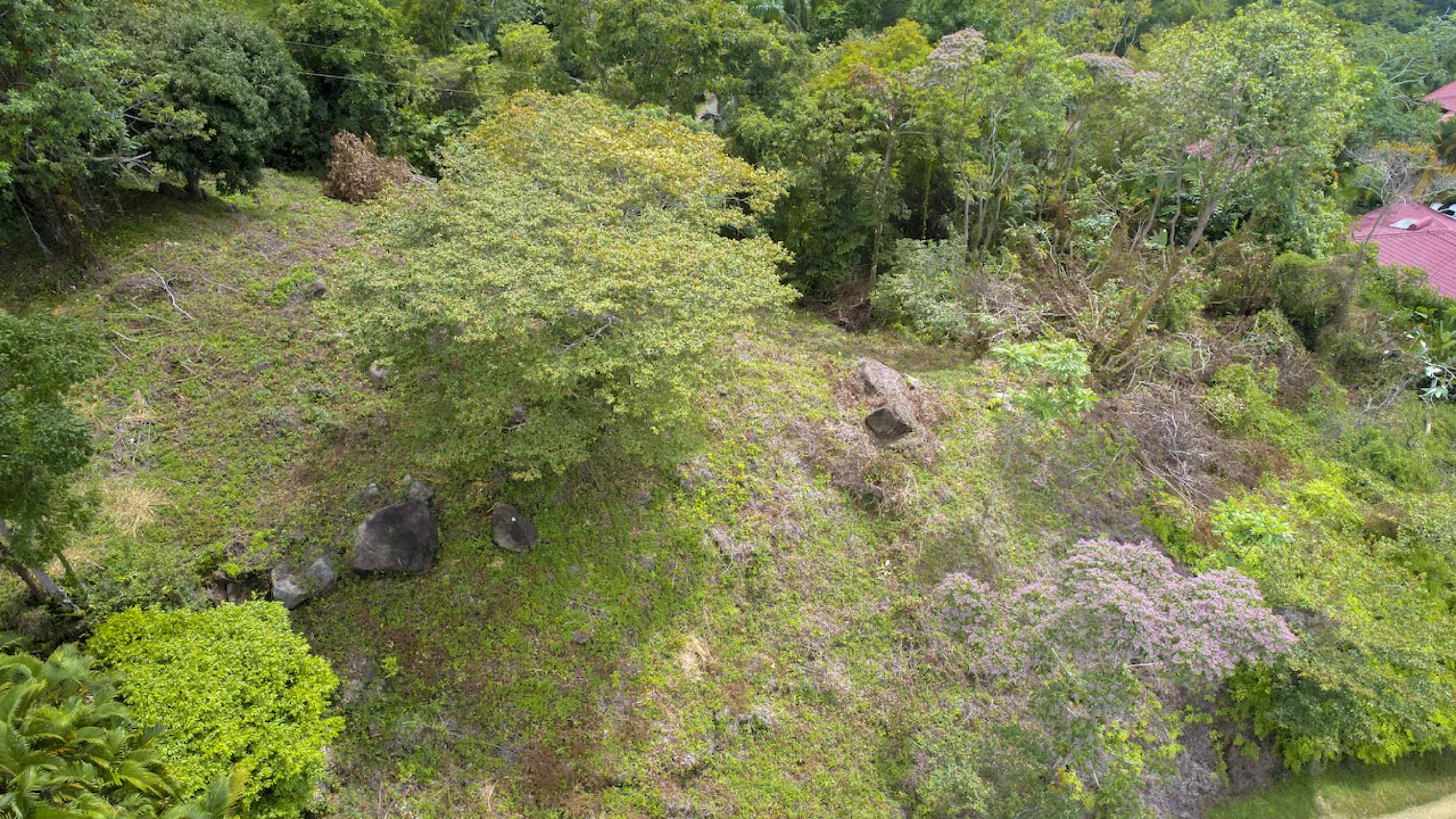 72210-1 Spectacular Ocean View Over-an-Acre Building Lot in Dominical Costa Rica