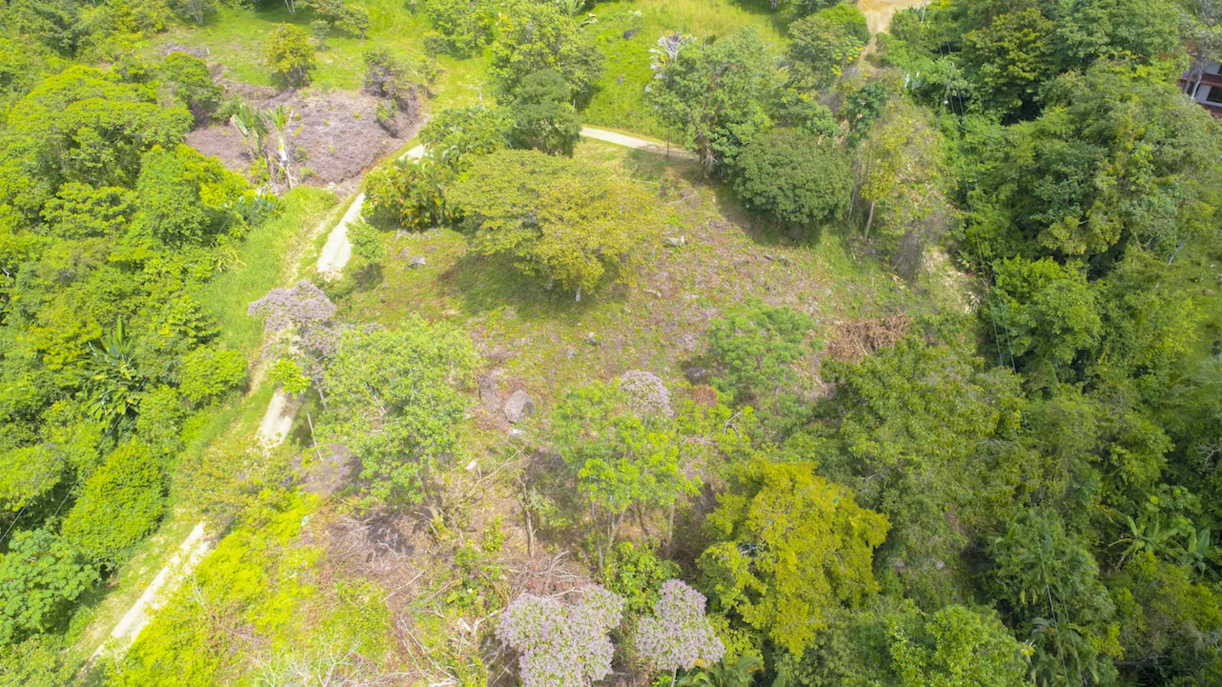 72210-2 Spectacular Ocean View Over-an-Acre Building Lot in Dominical Costa Rica