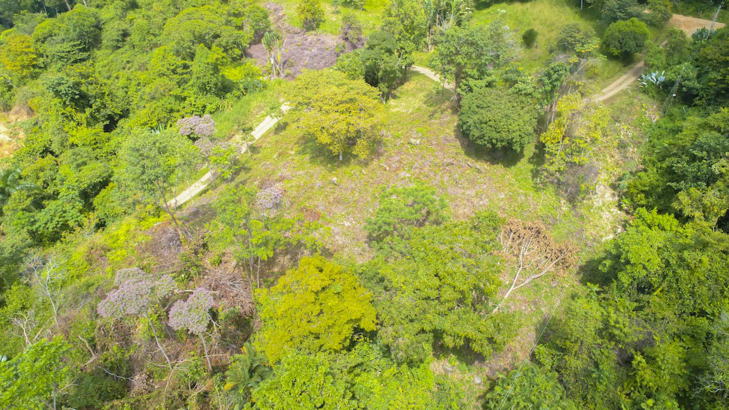 72210-3 Spectacular Ocean View Over-an-Acre Building Lot in Dominical Costa Rica
