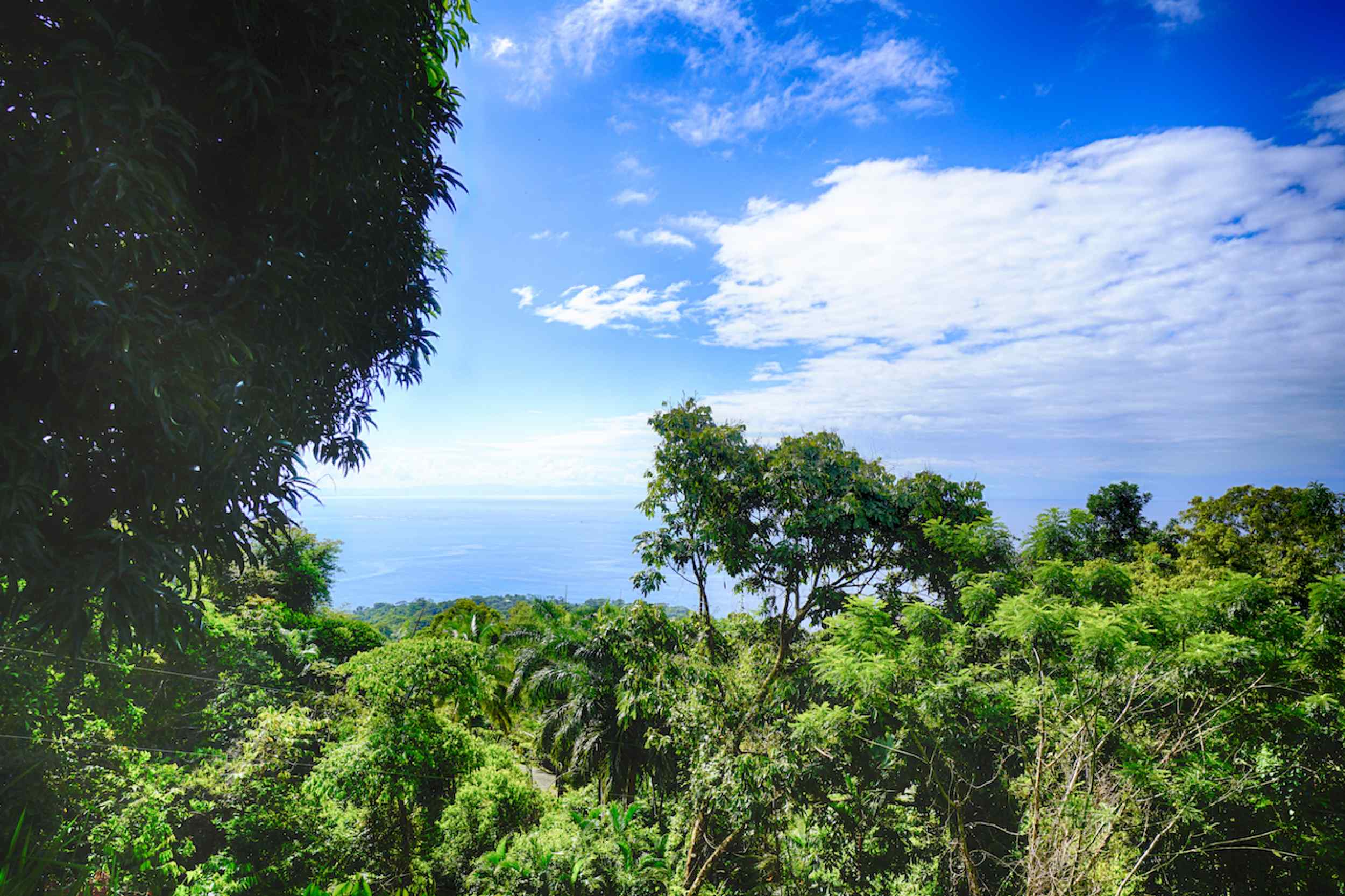 72210-7 Spectacular Ocean View Over-an-Acre Building Lot in Dominical Costa Rica