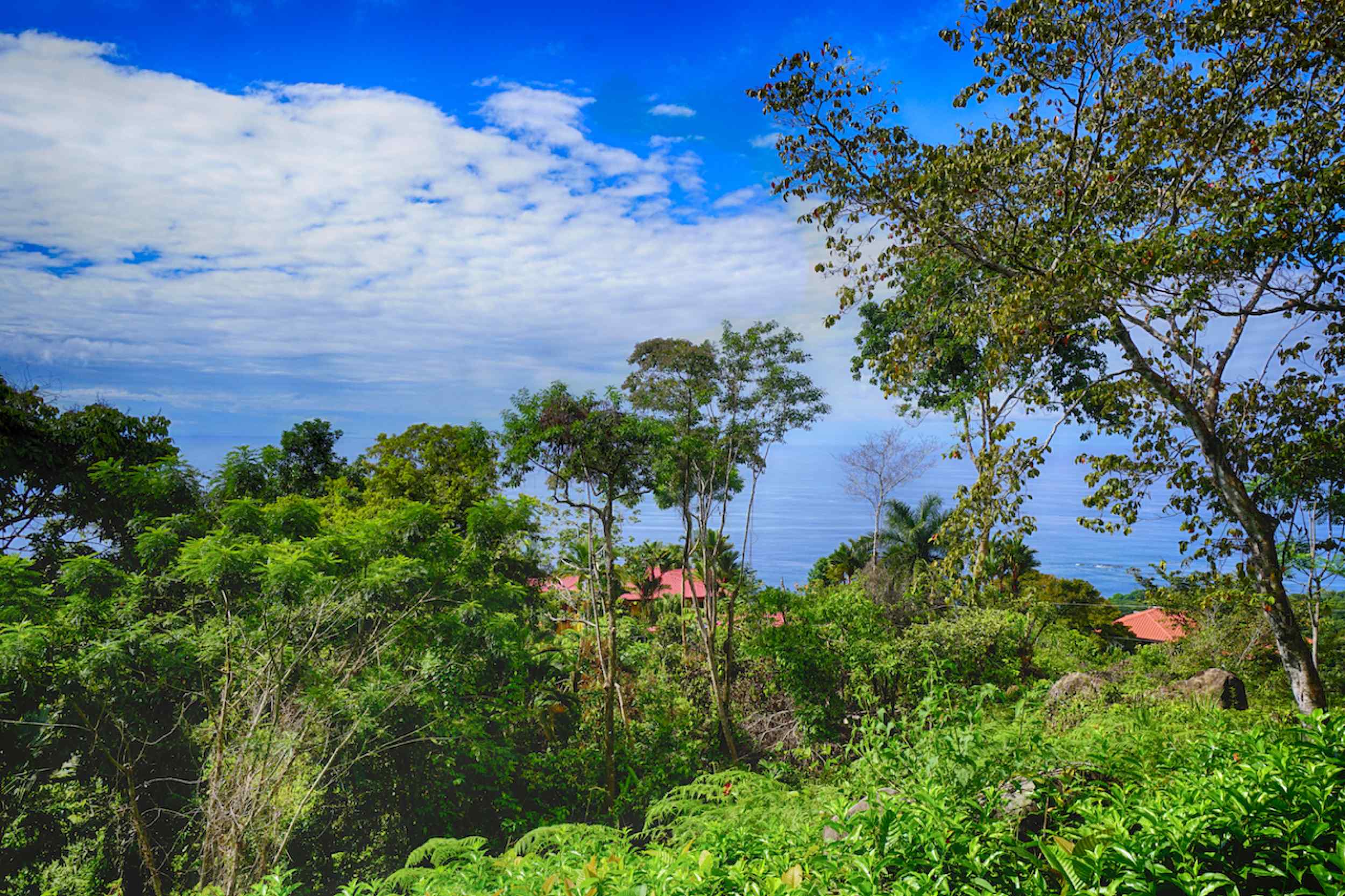 72210-9 Spectacular Ocean View Over-an-Acre Building Lot in Dominical Costa Rica