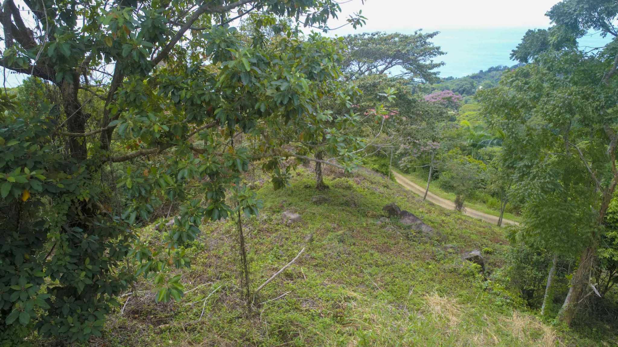 72210-11 Spectacular Ocean View Over-an-Acre Building Lot in Dominical Costa Rica
