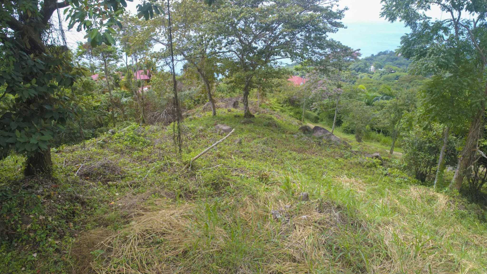 72210-12 Spectacular Ocean View Over-an-Acre Building Lot in Dominical Costa Rica