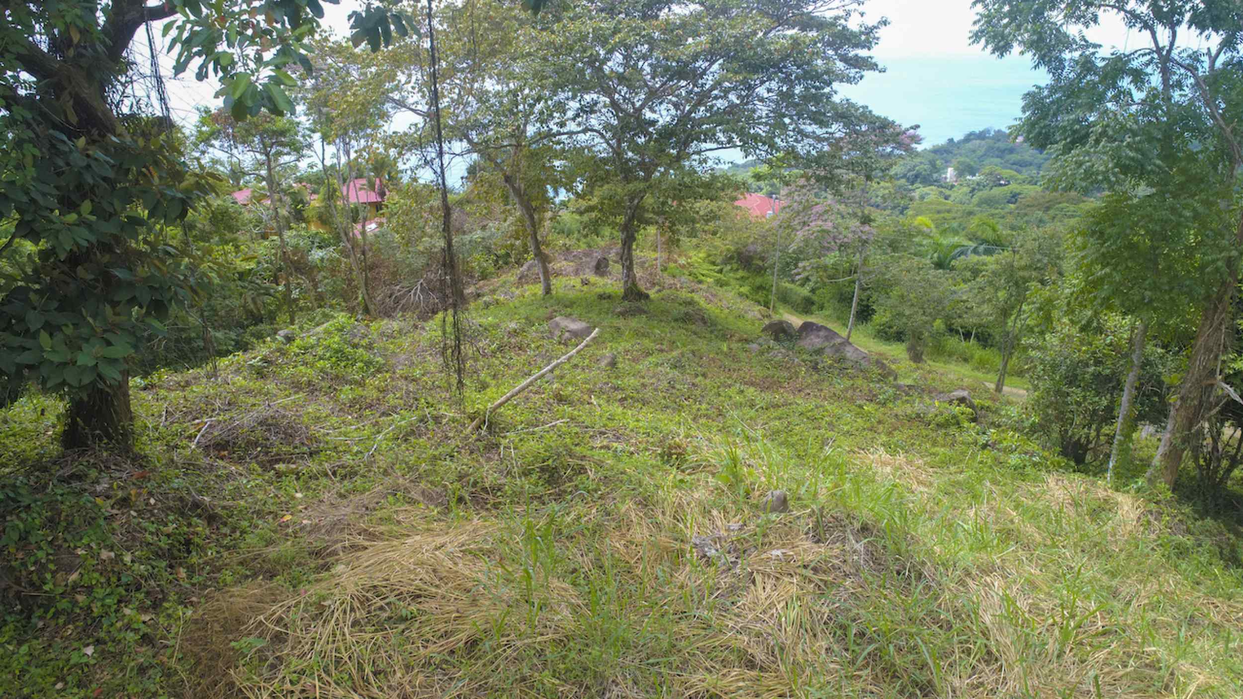 72210-12 Spectacular Ocean View Over-an-Acre Building Lot in Dominical Costa Rica