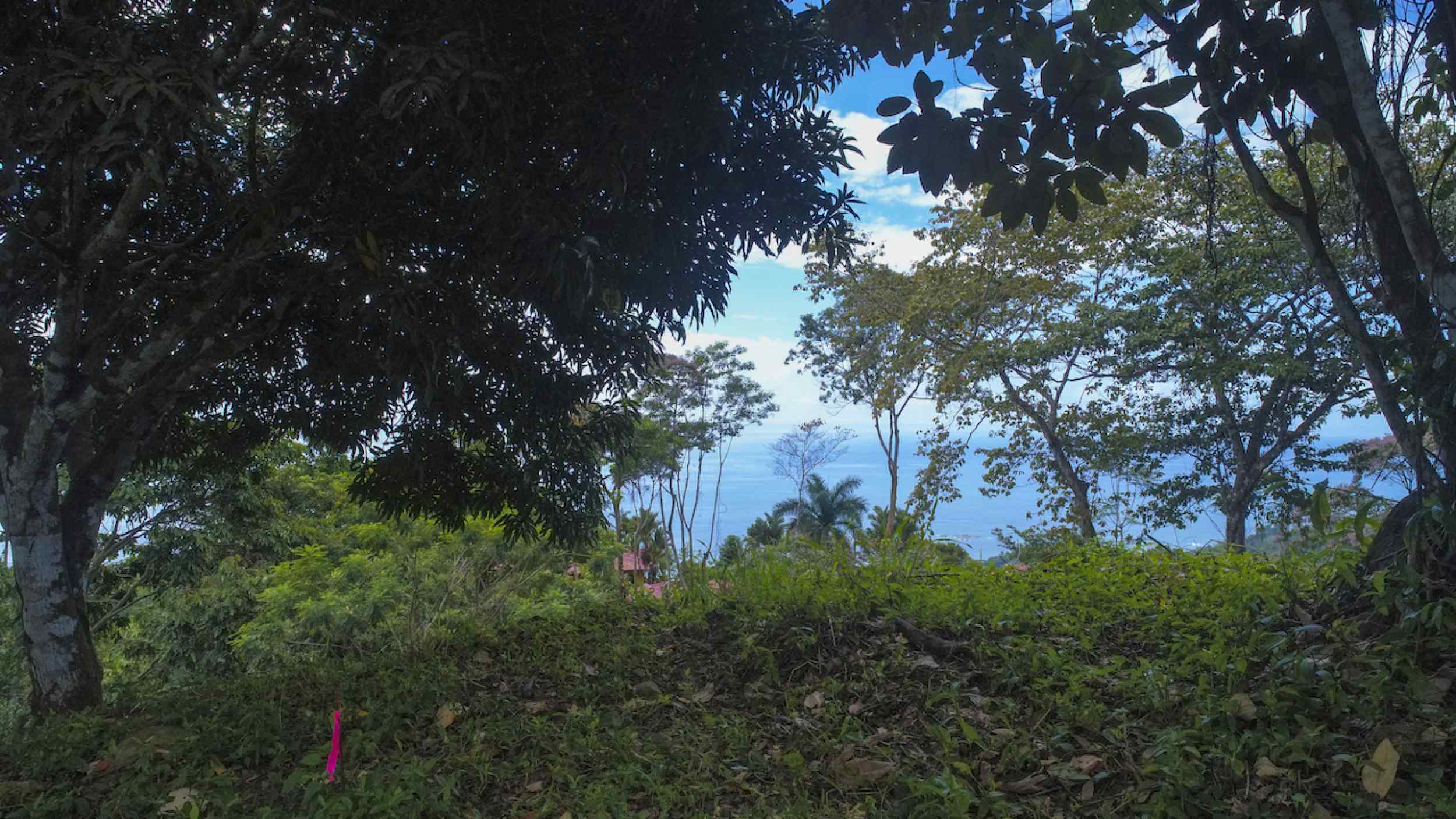 72210-13 Spectacular Ocean View Over-an-Acre Building Lot in Dominical Costa Rica