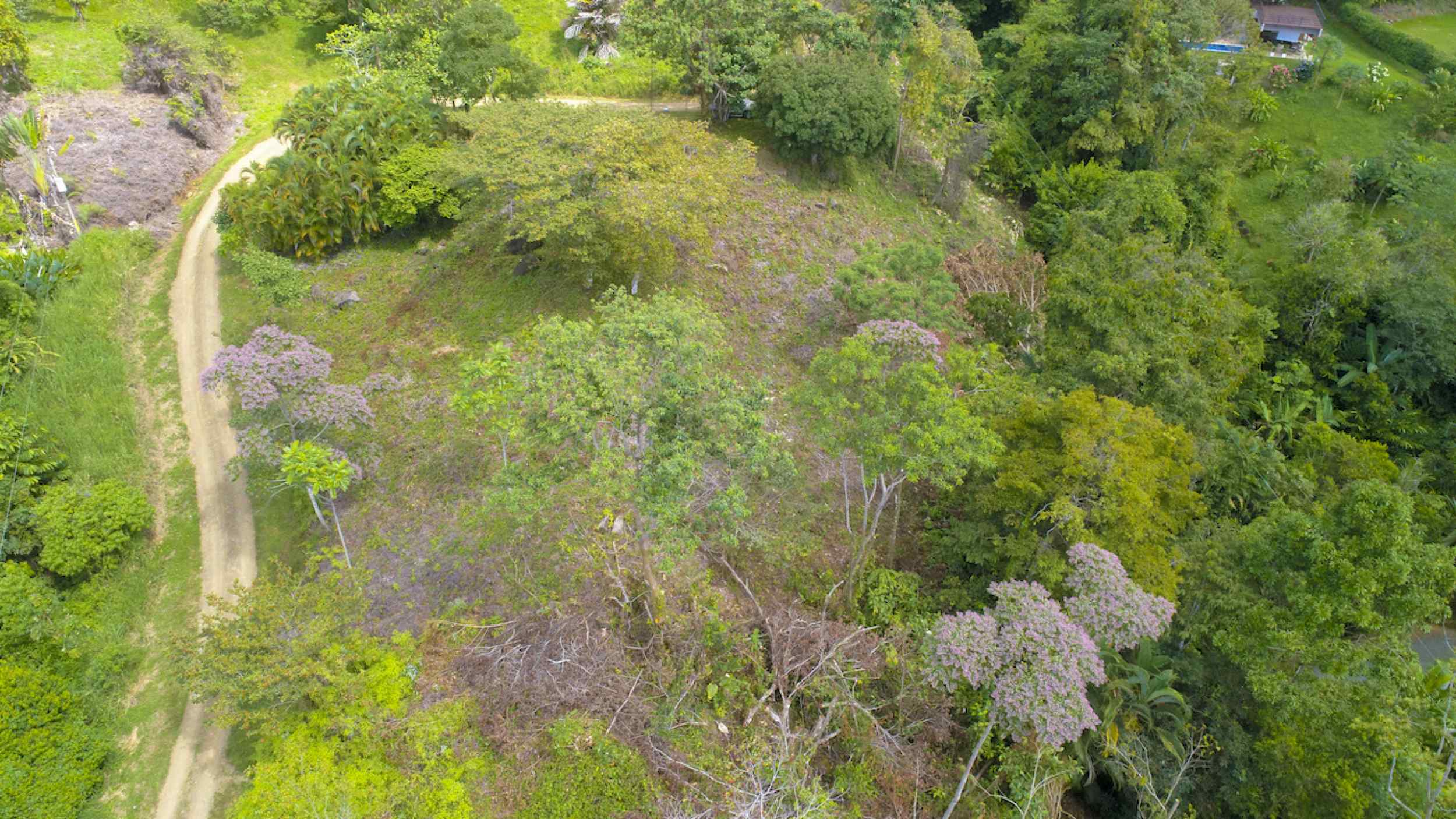 72210-15 Spectacular Ocean View Over-an-Acre Building Lot in Dominical Costa Rica