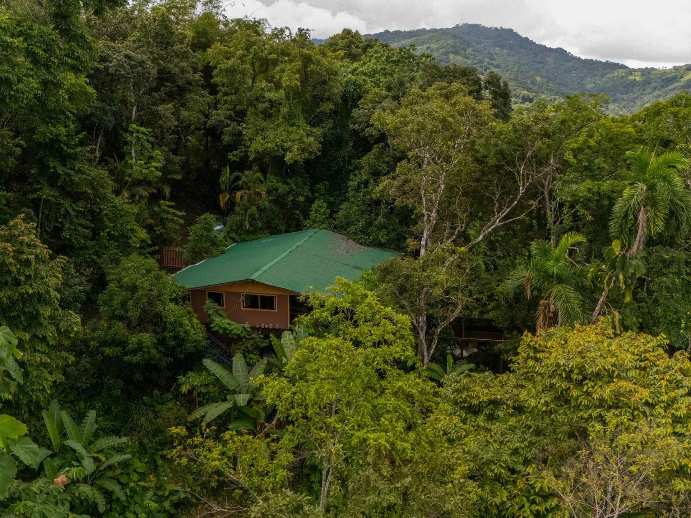 72287-2 Extraordinary 3-Bedroom Jungle Retreat with Sky Platform & Mountain Views in Dominical Costa Rica