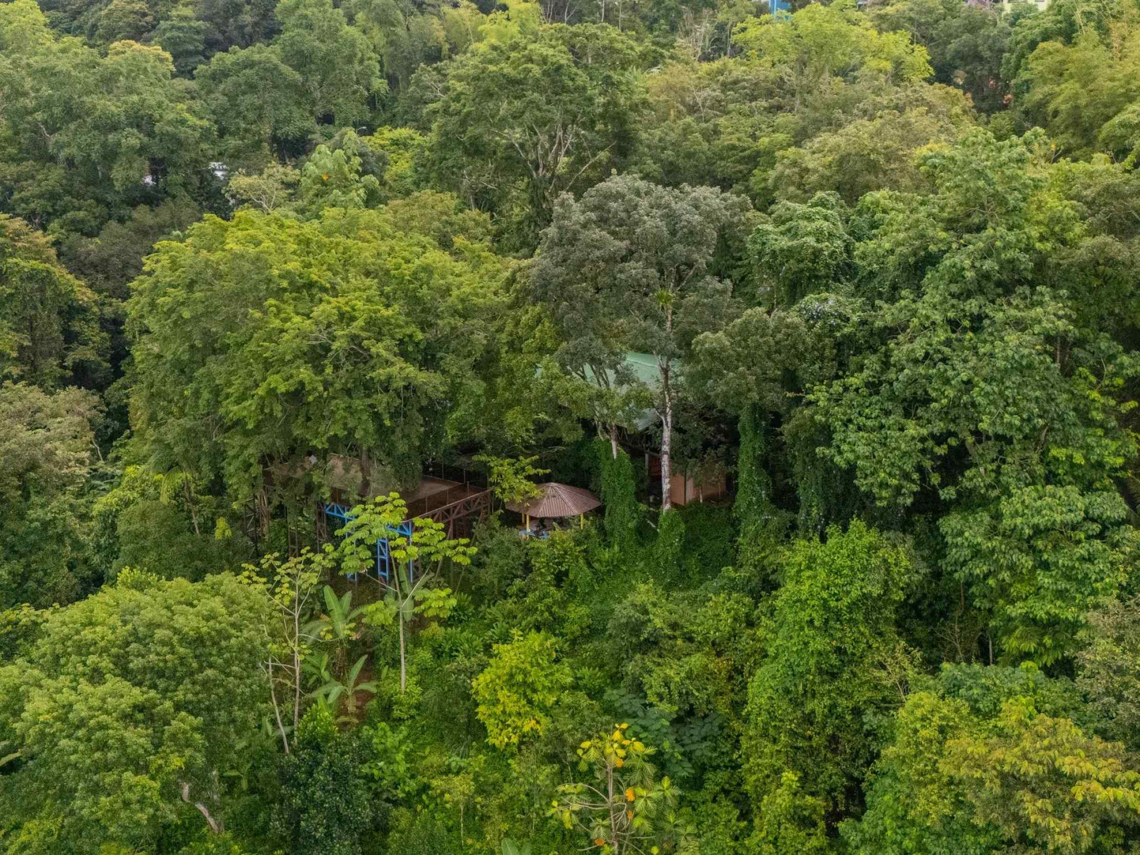 72287-3 Extraordinary 3-Bedroom Jungle Retreat with Sky Platform & Mountain Views in Dominical Costa Rica