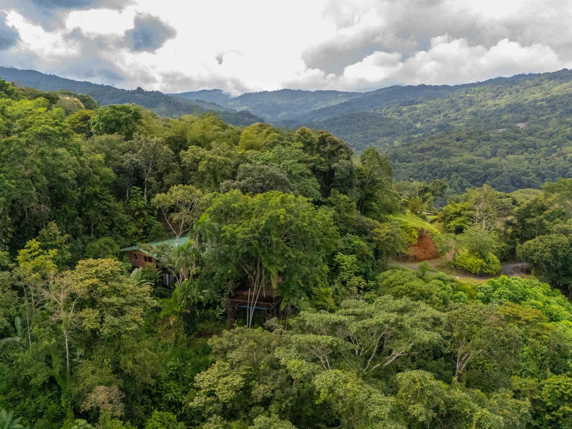 72287-4 Extraordinary 3-Bedroom Jungle Retreat with Sky Platform & Mountain Views in Dominical Costa Rica