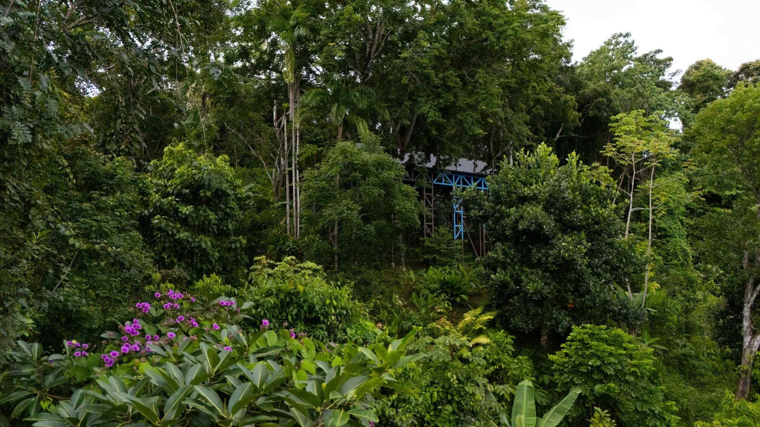72287-11 Extraordinary 3-Bedroom Jungle Retreat with Sky Platform & Mountain Views in Dominical Costa Rica