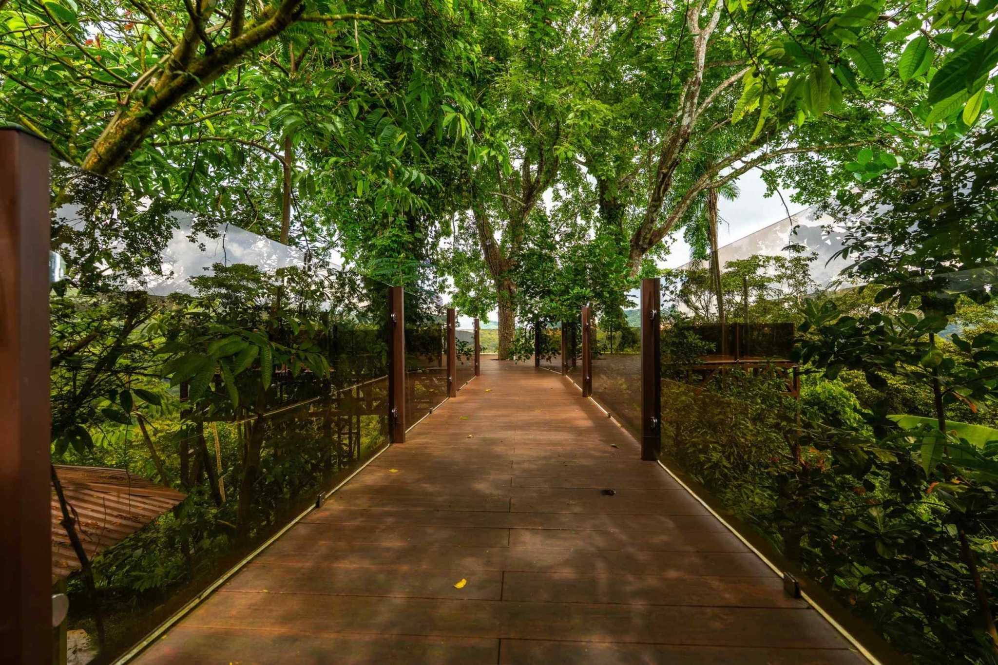 Extraordinary 3-Bedroom Jungle Retreat with Sky Platform & Mountain Views in Dominical Costa Rica