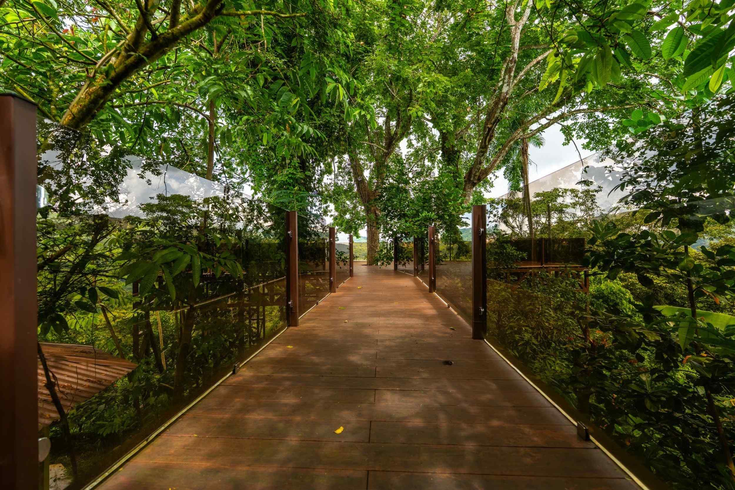 72287-22 Extraordinary 3-Bedroom Jungle Retreat with Sky Platform & Mountain Views in Dominical Costa Rica