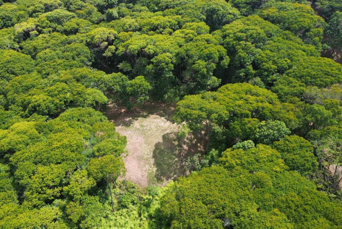 Tranquil Jungle View Building Lot with Ocean Glimpses in Dominical Costa Rica