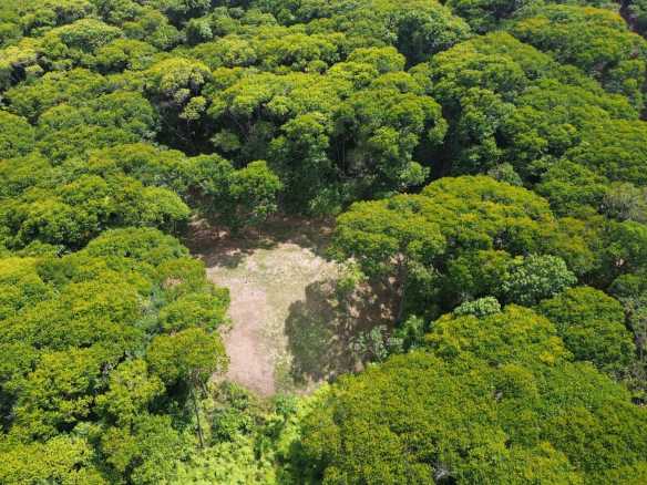 Tranquil Jungle View Building Lot with Ocean Glimpses in Dominical Costa Rica