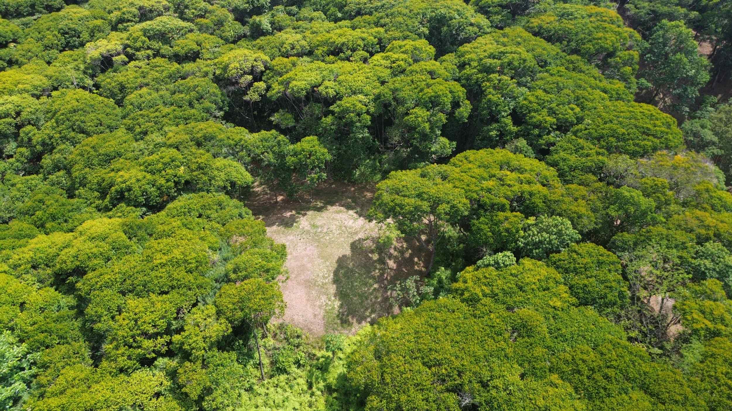 72346-1 Tranquil Jungle View Building Lot with Ocean Glimpses in Dominical Costa Rica
