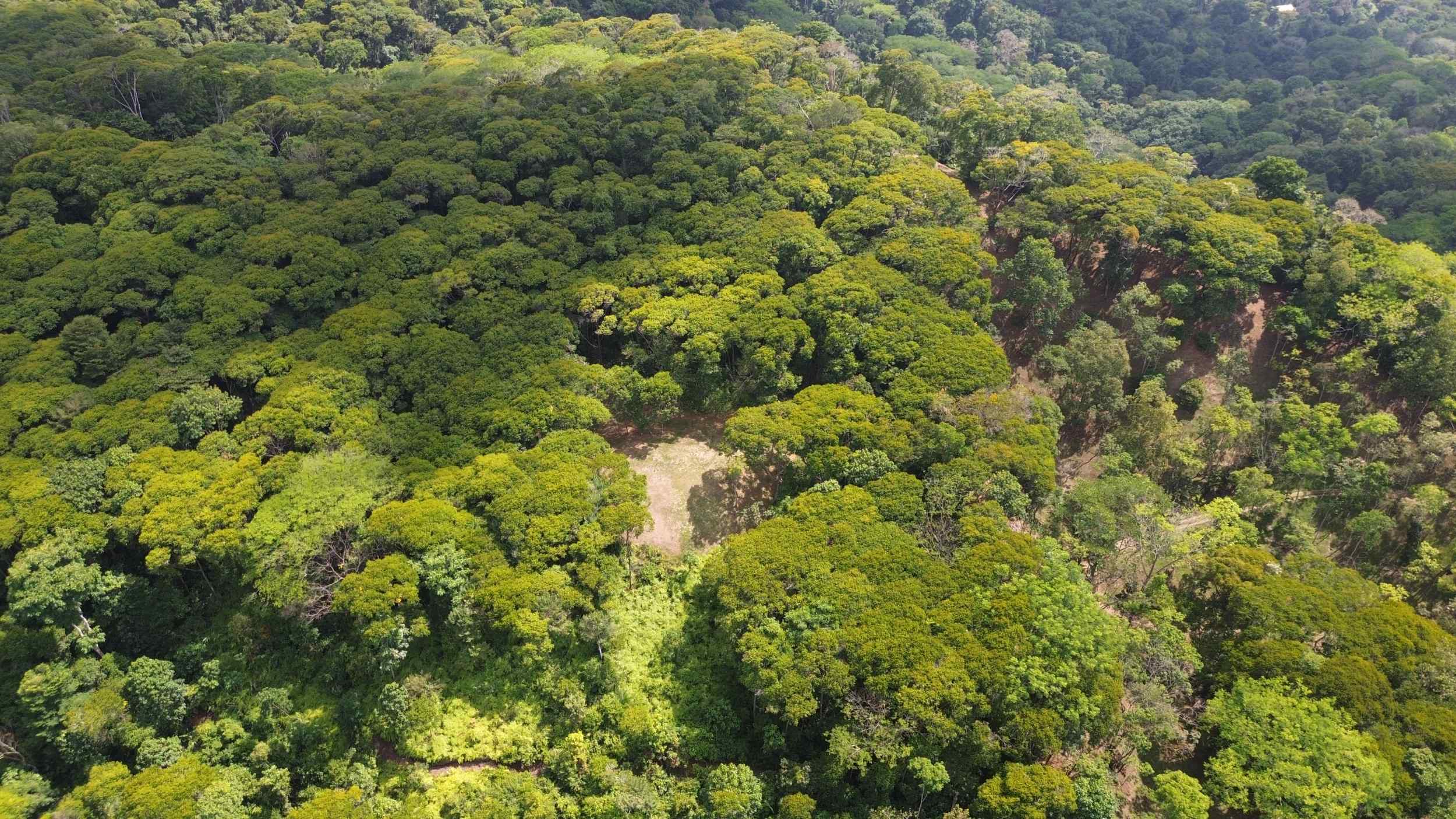 72346-2 Tranquil Jungle View Building Lot with Ocean Glimpses in Dominical Costa Rica