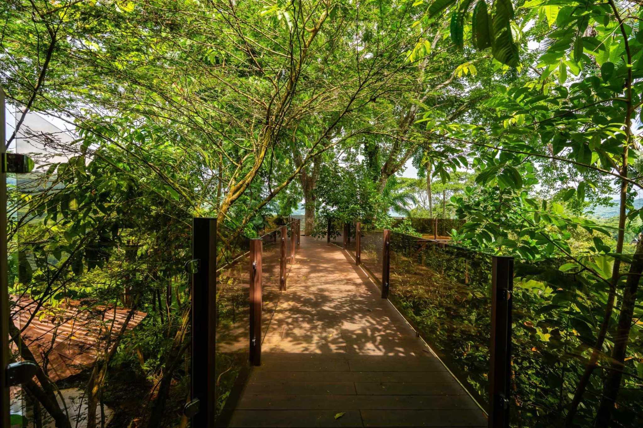 Extraordinary 3-Bedroom Jungle Retreat with Sky Platform & Mountain Views in Dominical Costa Rica