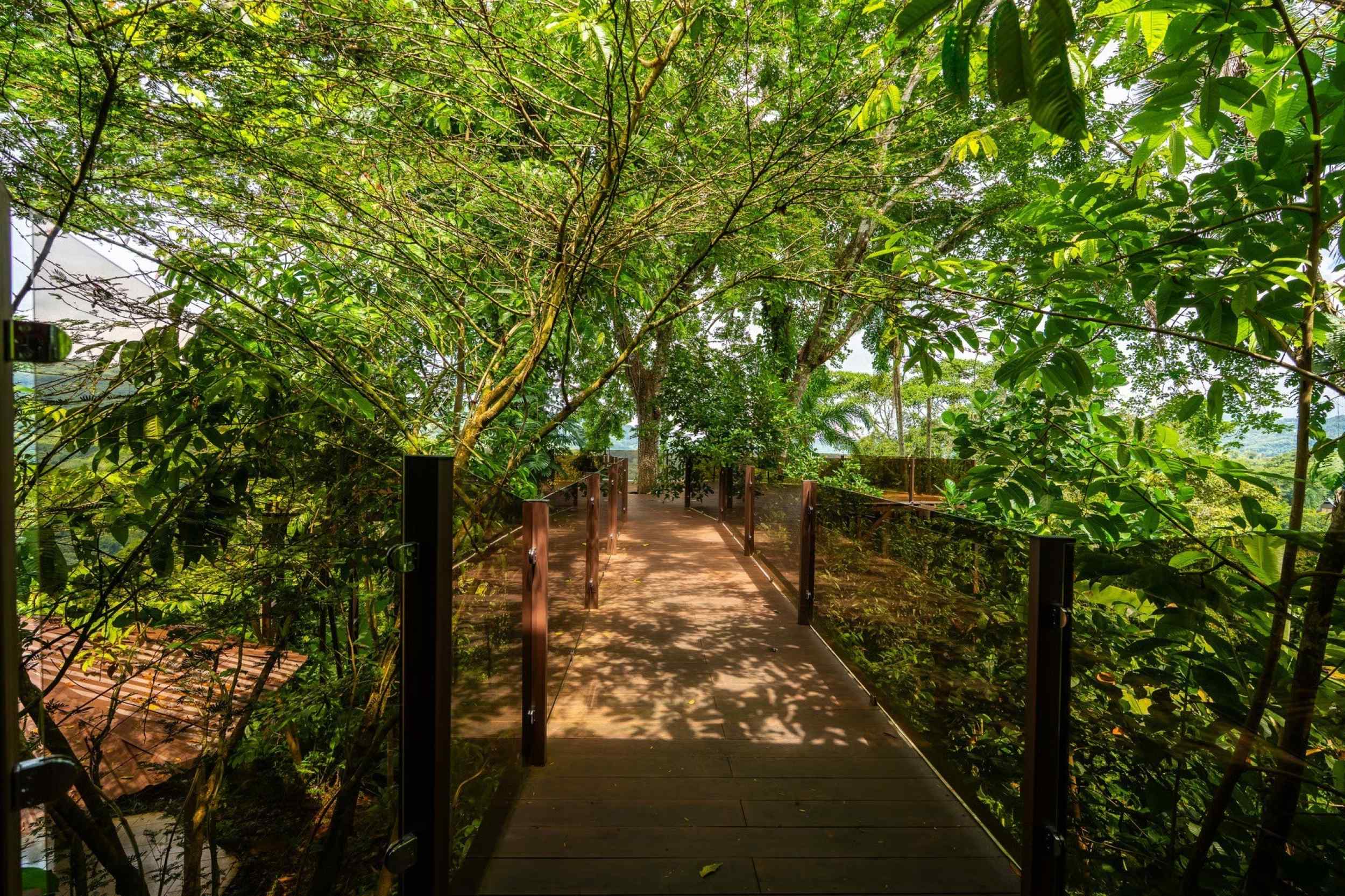 72287-26 Extraordinary 3-Bedroom Jungle Retreat with Sky Platform & Mountain Views in Dominical Costa Rica