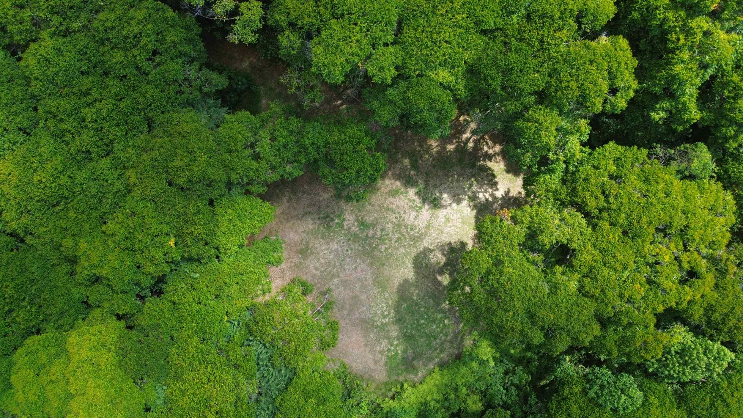 72346-3 Tranquil Jungle View Building Lot with Ocean Glimpses in Dominical Costa Rica