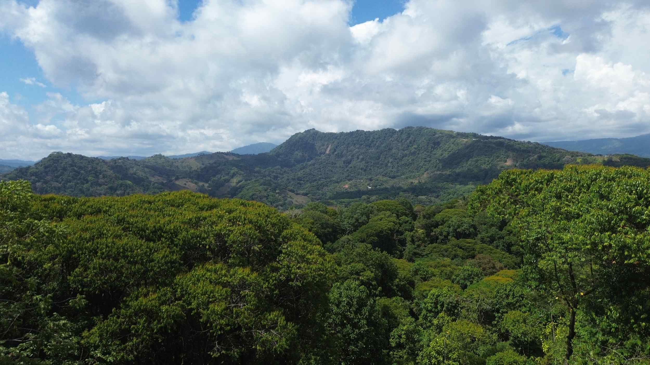 72346-4 Tranquil Jungle View Building Lot with Ocean Glimpses in Dominical Costa Rica